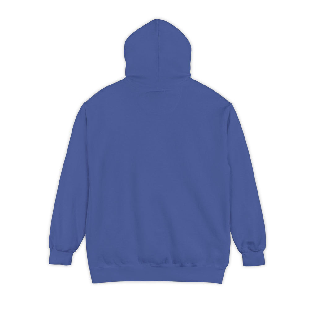 934 - Embroidered Pensacola Beach Sea Turtle Logo Hoodie — Soft Garment-Dyed Graphic Hoodie