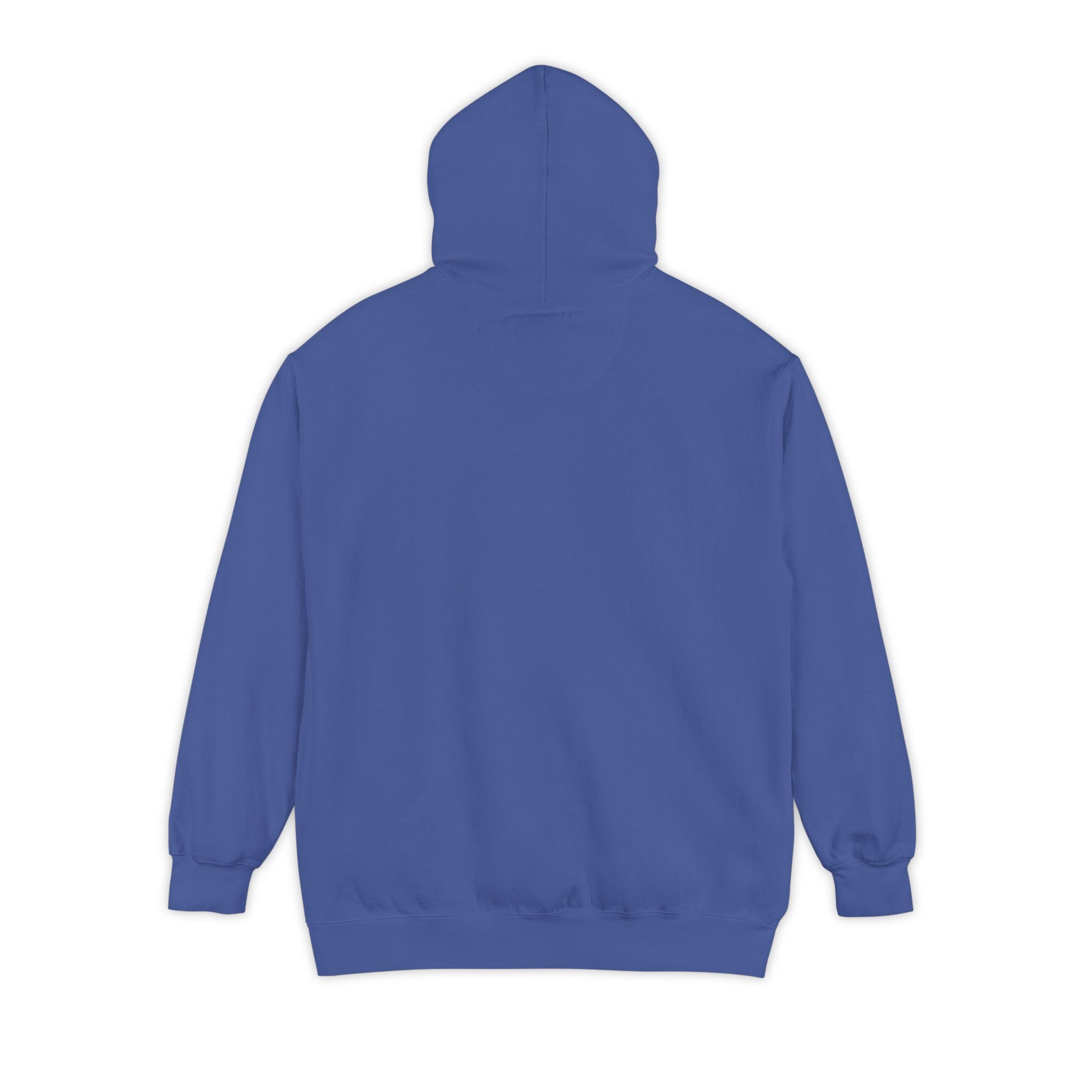 934 - Embroidered Pensacola Beach Sea Turtle Logo Hoodie — Soft Garment-Dyed Graphic Hoodie