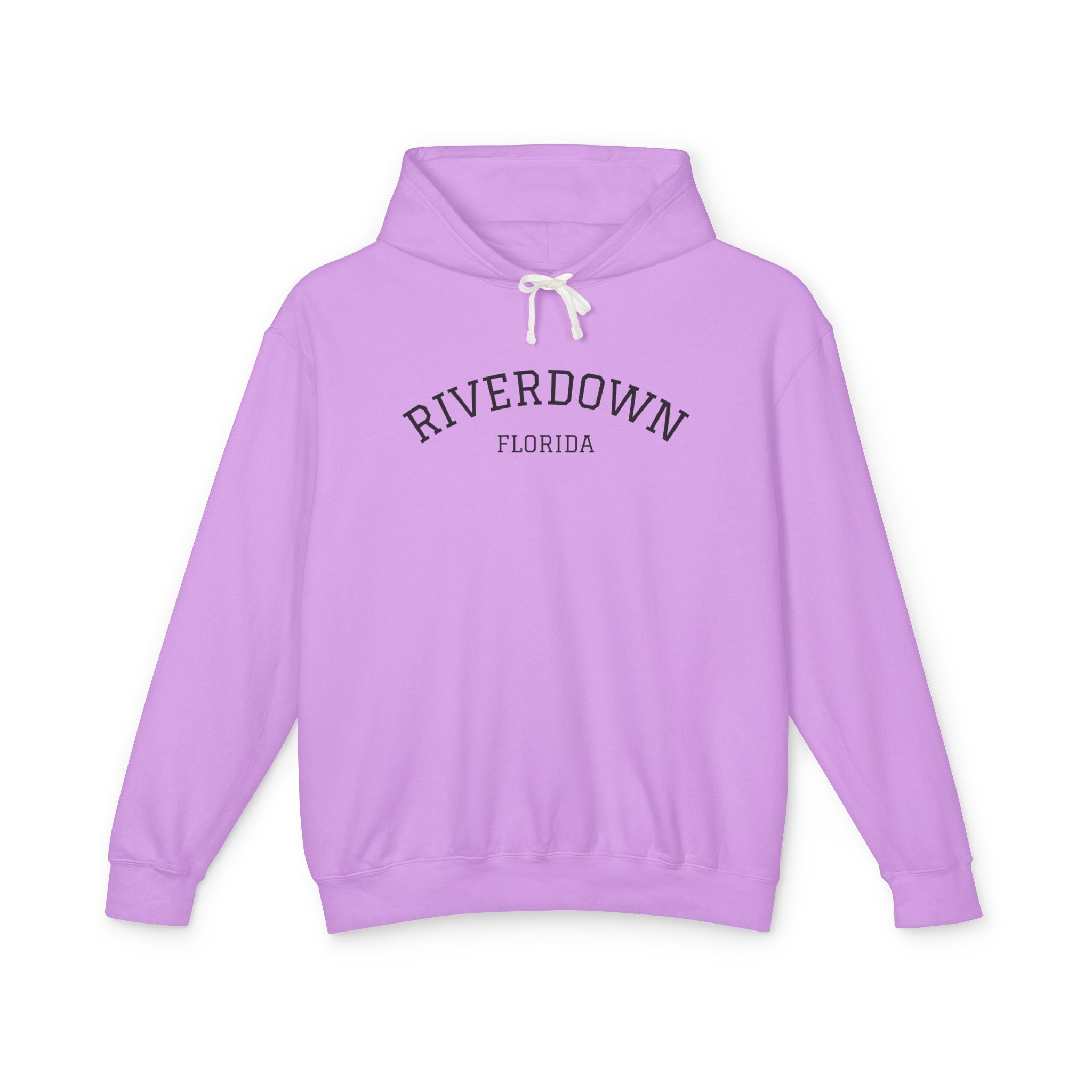 4 - Hoodie Multi Colors Collegiate Logo Hoodie — Lightweight Pastel Blue Sweatshirt