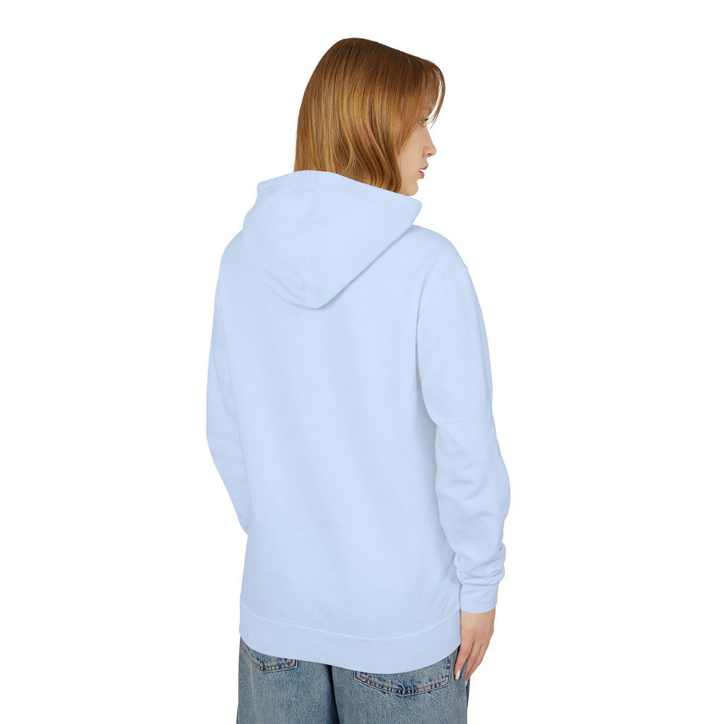 4 - Hoodie Multi Colors Coastal Logo Hoodie — Lightweight Pastel Blue Sweatshirt
