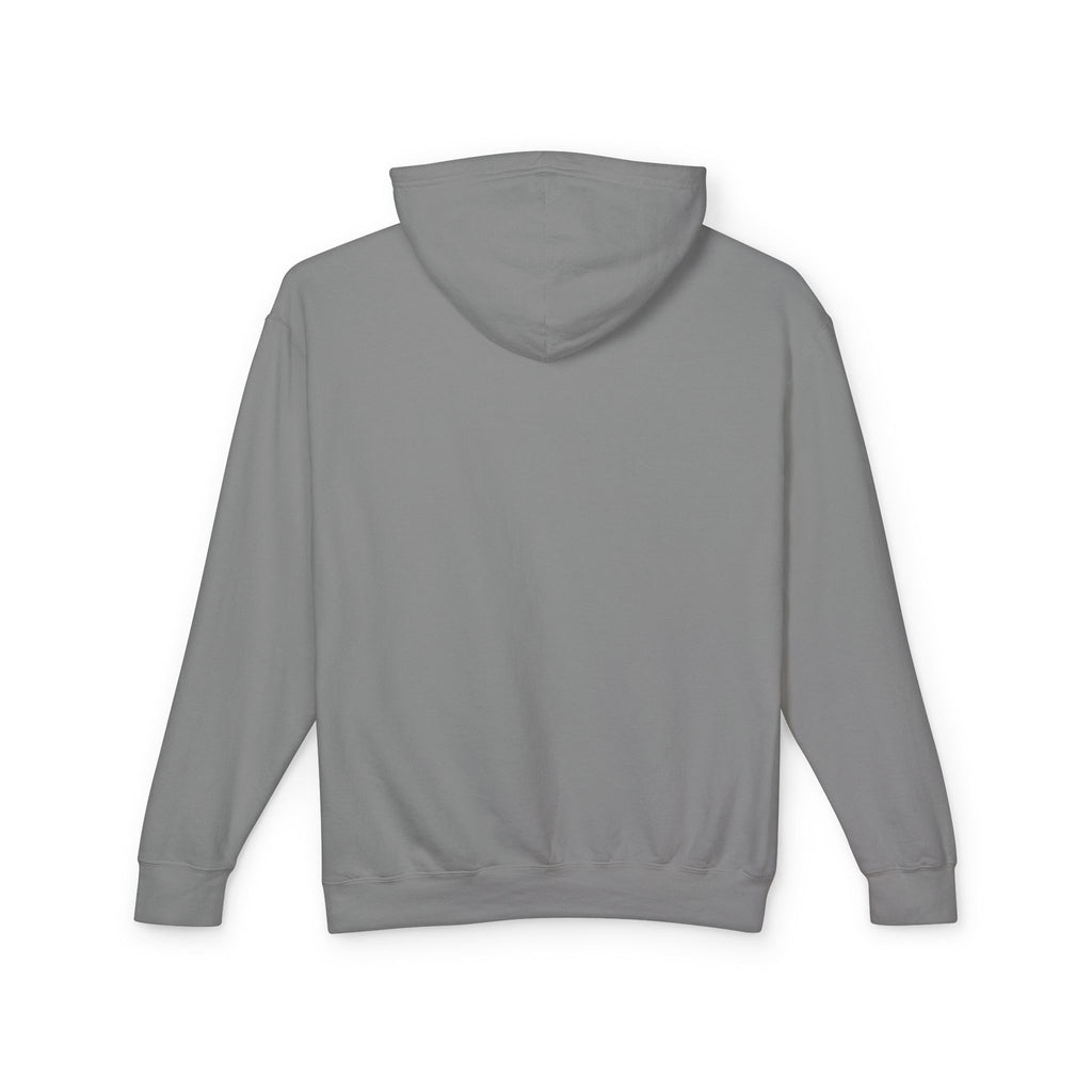 4 - Hoodie Multi Colors Collegiate Logo Hoodie — Lightweight Pastel Blue Sweatshirt