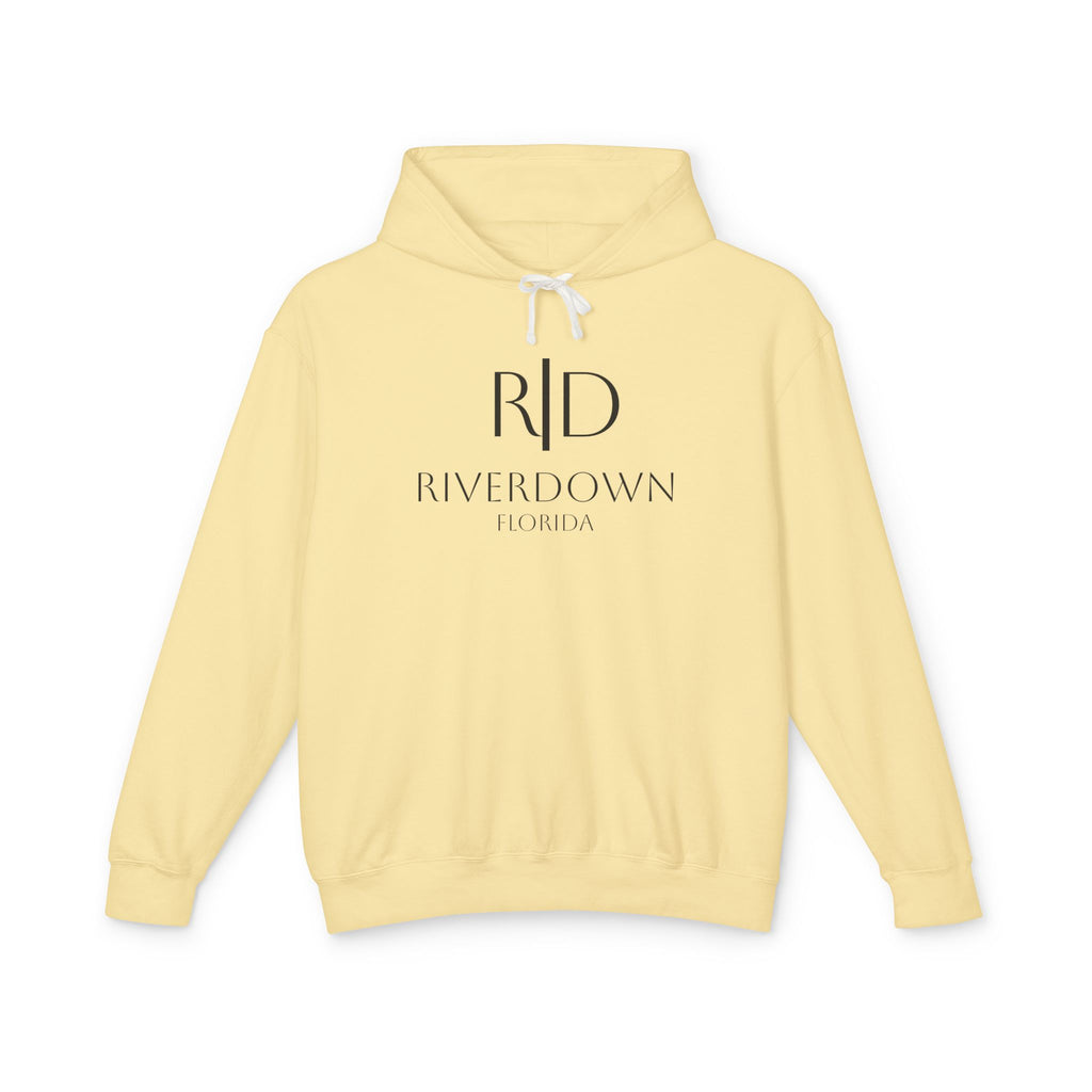 4 - Hoodie Multi Colors Coastal Logo Hoodie — Lightweight Pastel Blue Sweatshirt