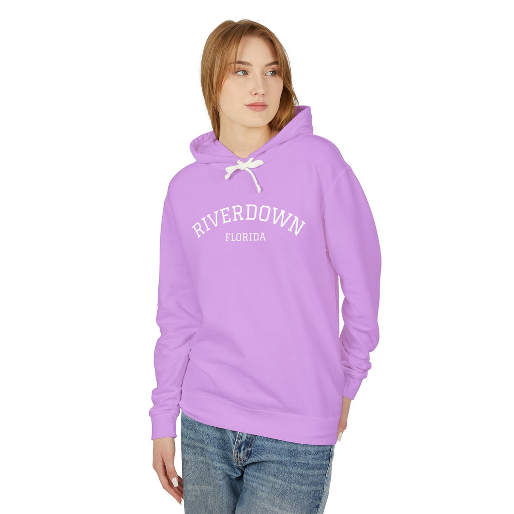 4 - Hoodie Multi Colors Collegiate Logo Hoodie — Lightweight Pastel Blue Sweatshirt