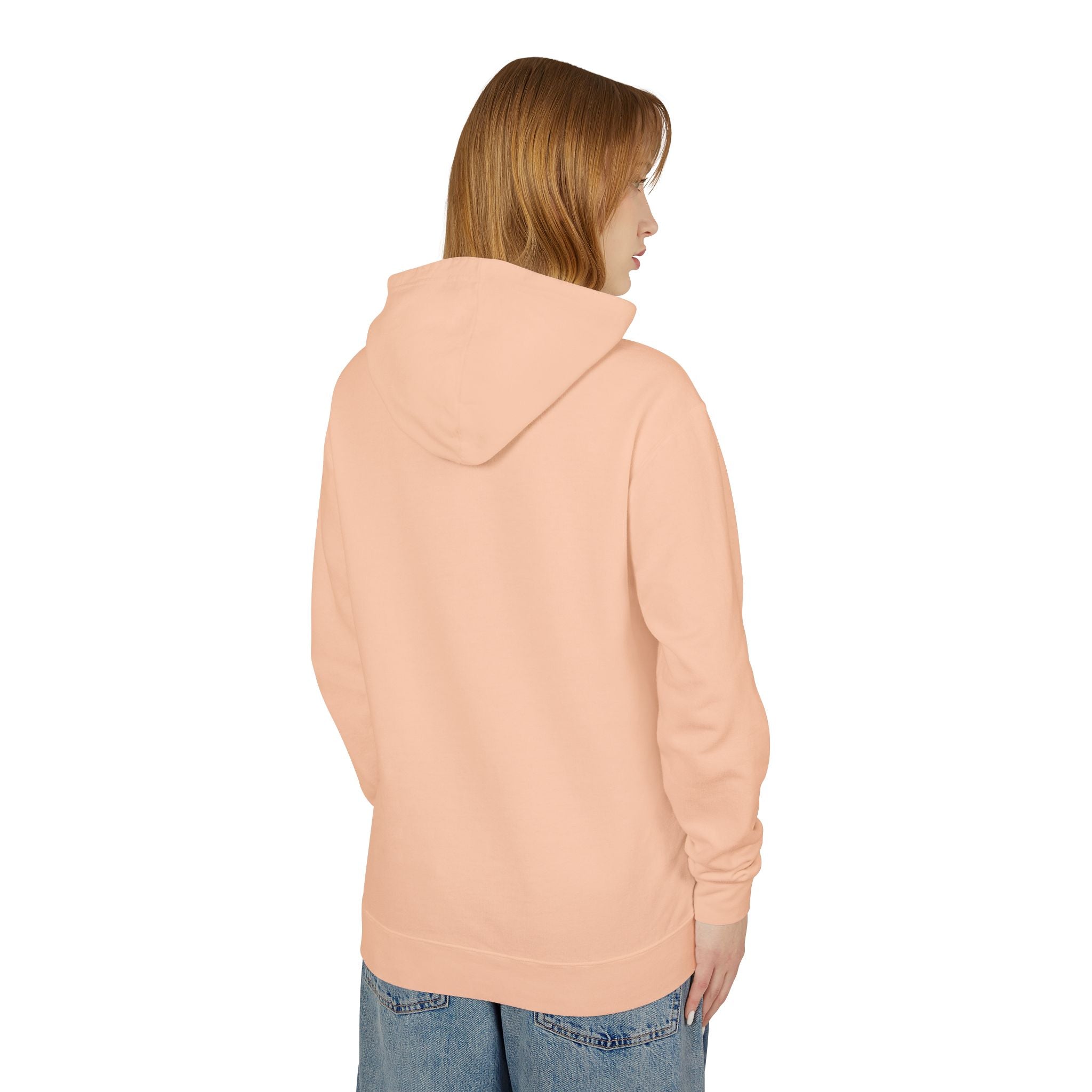 4 - Hoodie Multi Colors Collegiate Logo Hoodie — Lightweight Pastel Blue Sweatshirt
