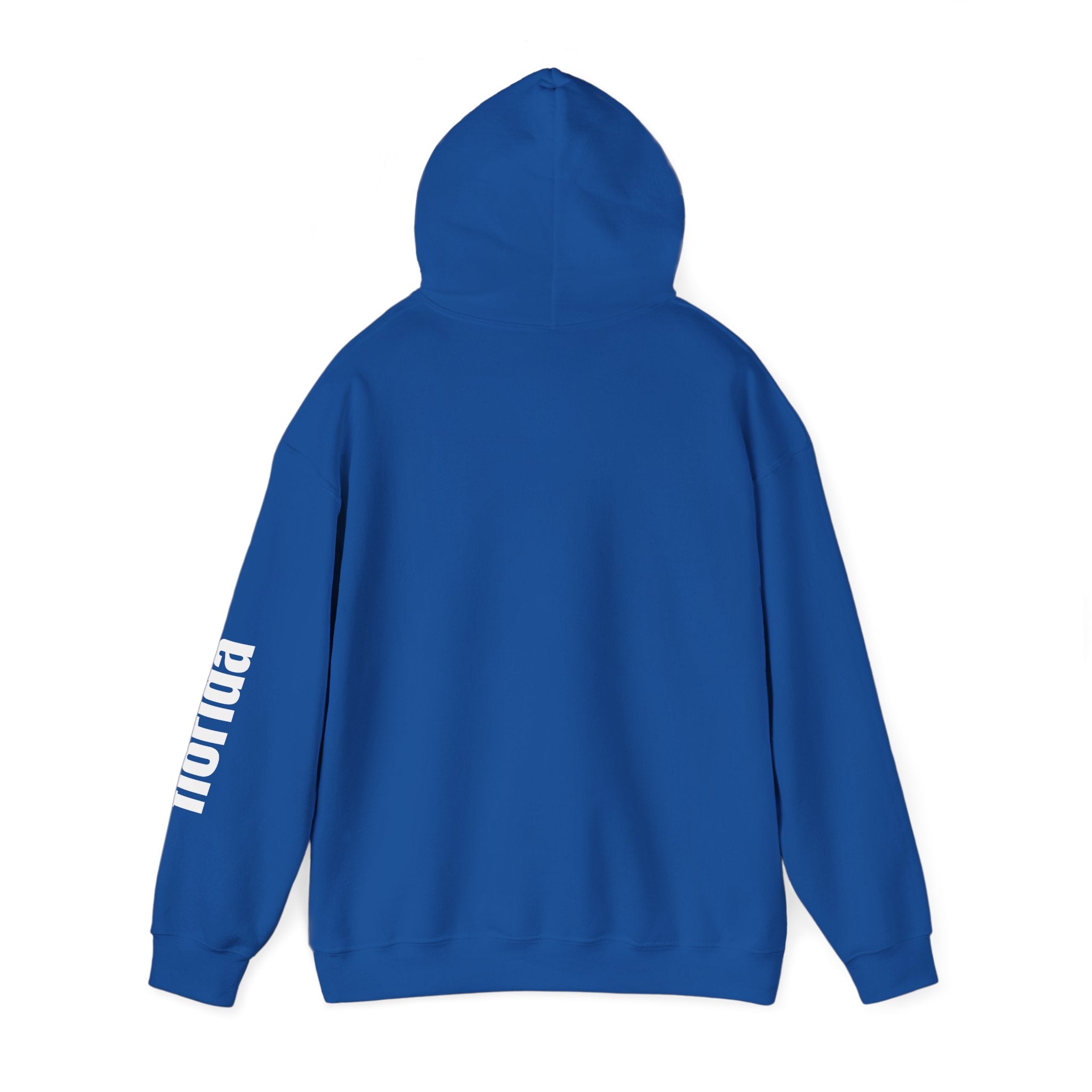934 - Unisex Pensacola Beach Heavy Blend™ Hooded Sweatshirt
