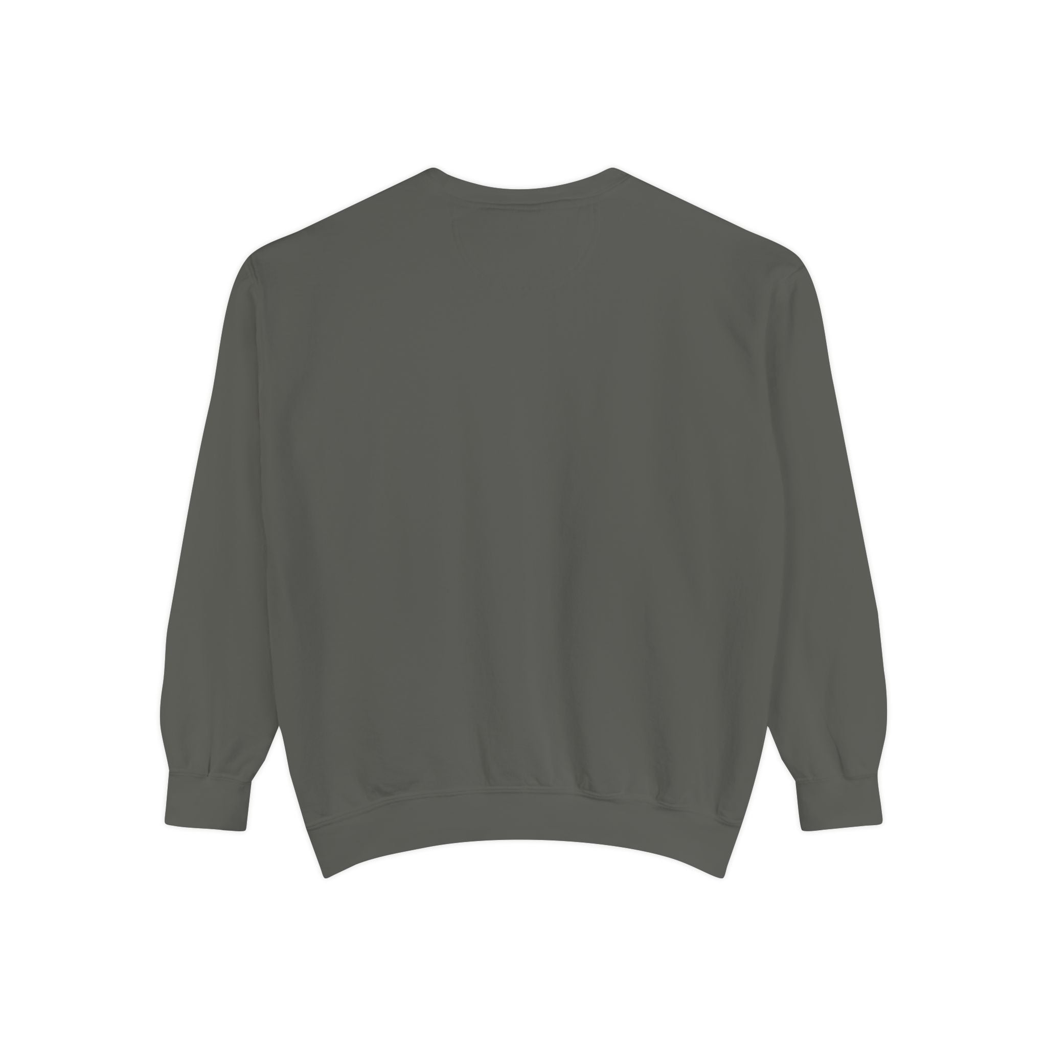 3 - 1903 Crest Embroidered Sweatshirt – Minimal Vintage College Pullover