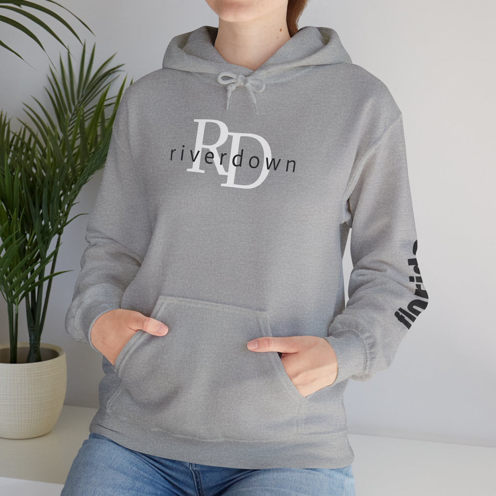 4 - Unisex Heavy RD Overlay Hooded Sweatshirt
