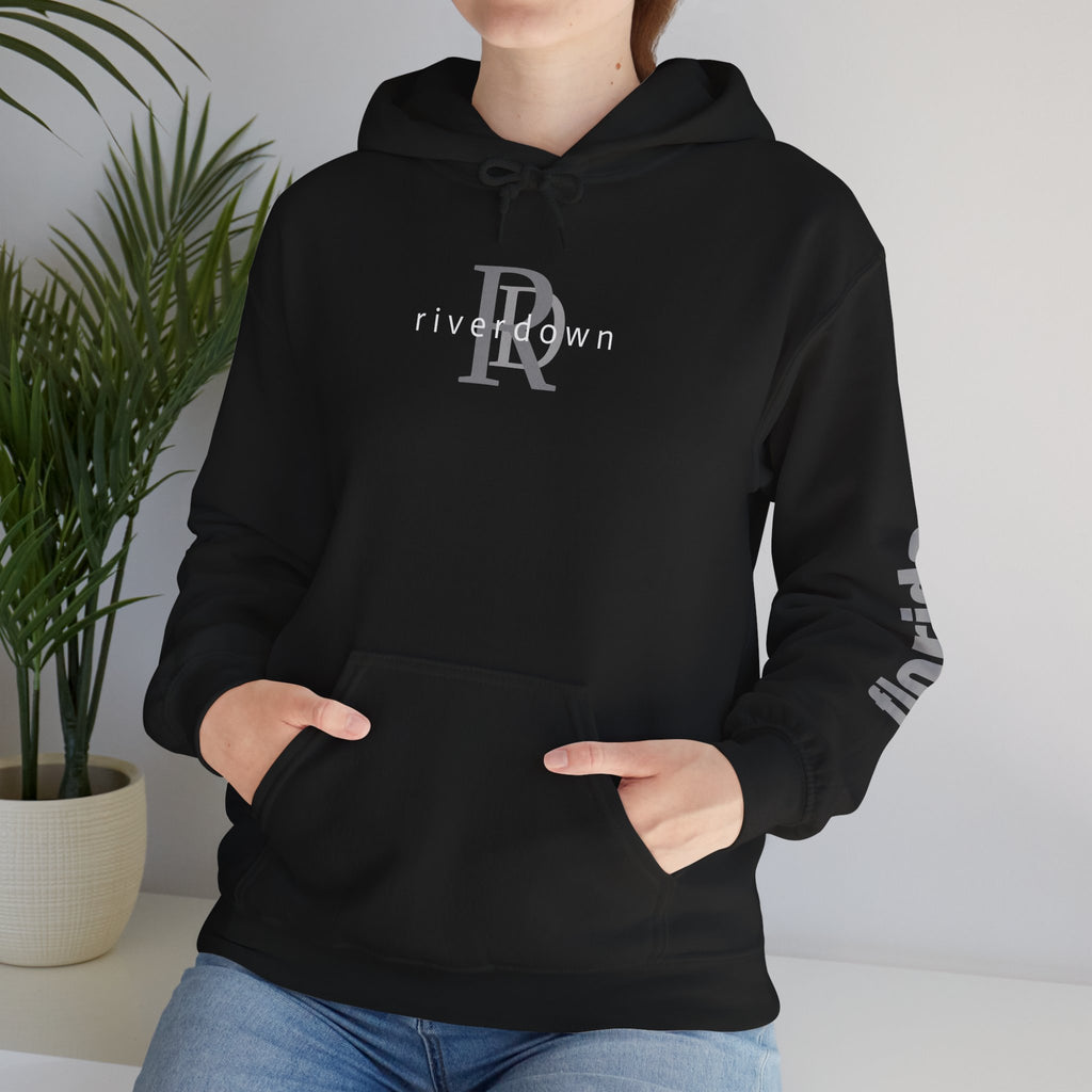 4 - Unisex Heavy RD Overlay Hooded Sweatshirt