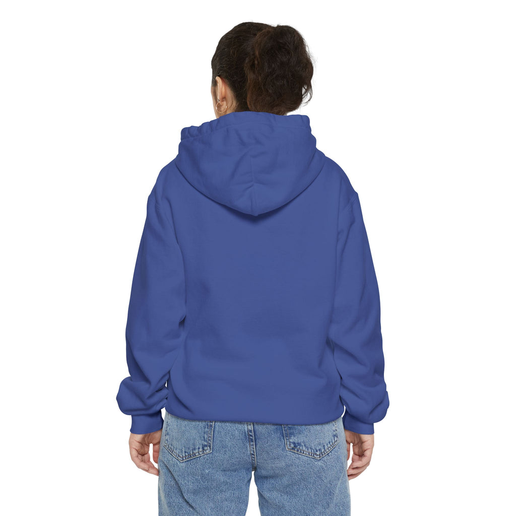 4 - Riverdown Embroidered Sea Turtle Logo Hoodie — Soft Garment-Dyed Graphic Hoodie
