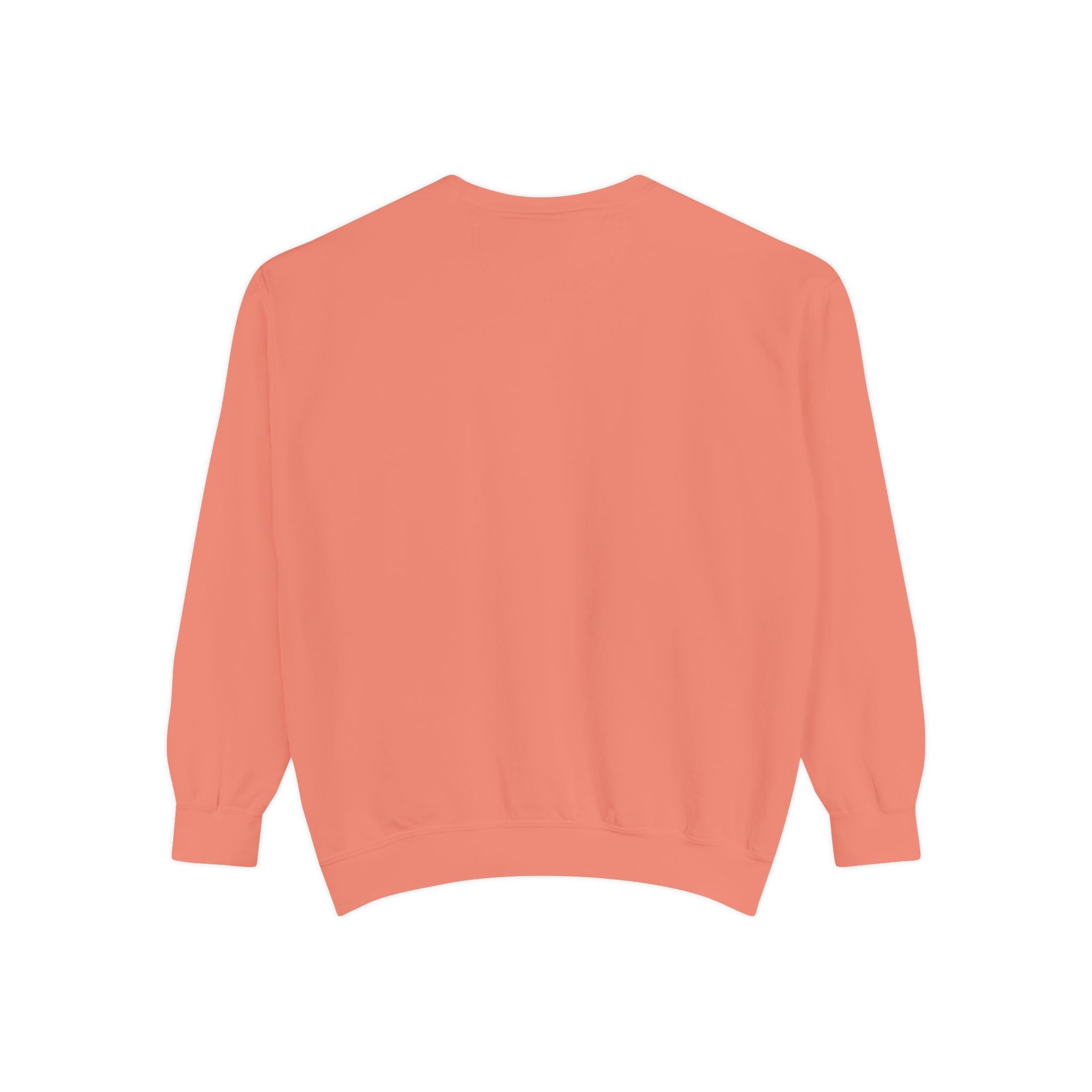 3 - 1903 Crest Embroidered Sweatshirt – Minimal Vintage College Pullover