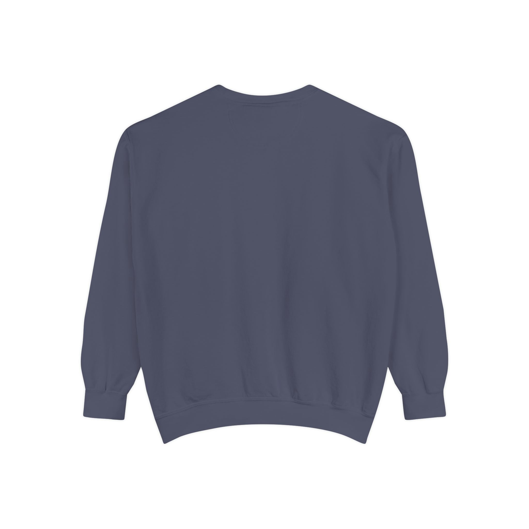 3 - 1903 Crest Embroidered Sweatshirt – Minimal Vintage College Pullover
