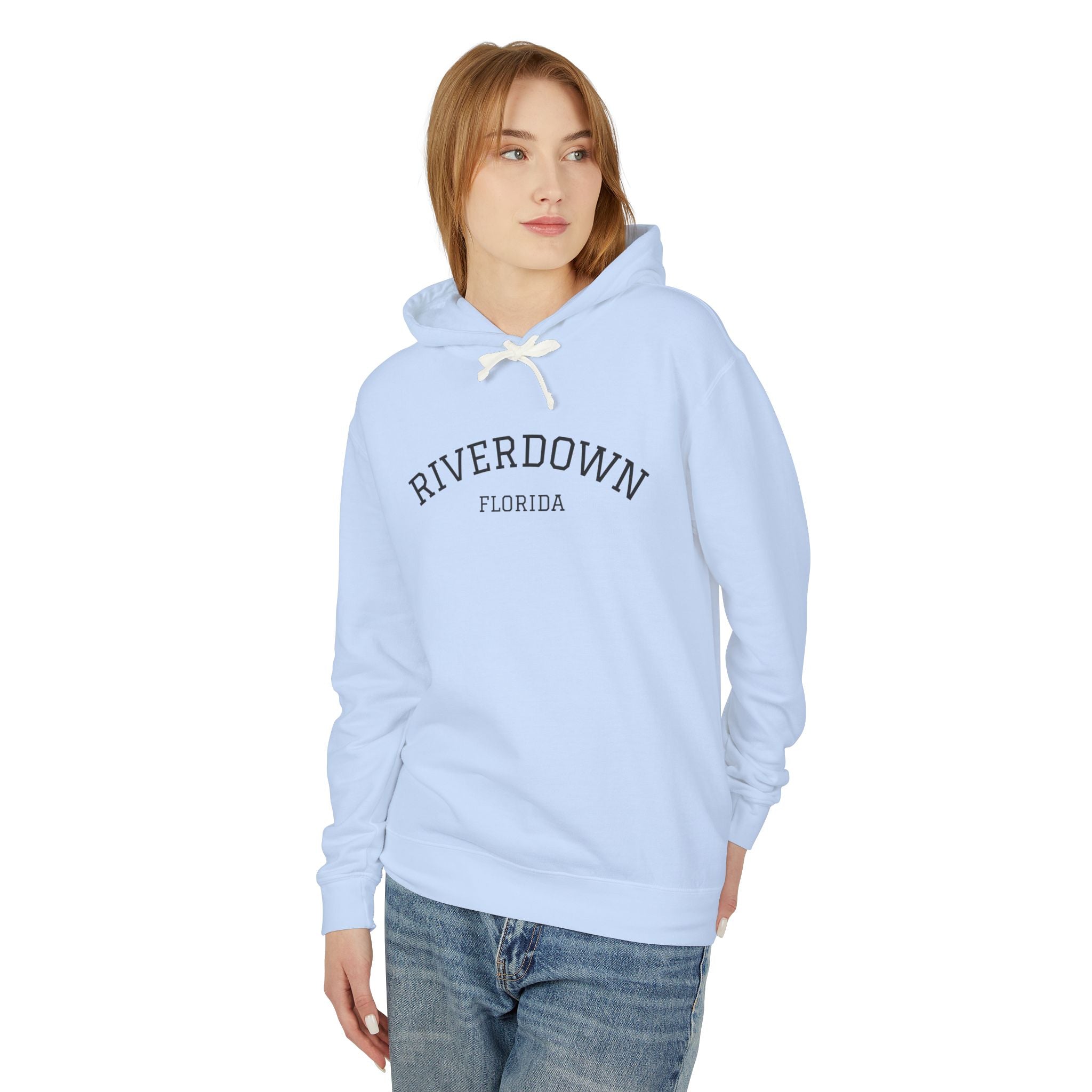 4 - Hoodie Multi Colors Collegiate Logo Hoodie — Lightweight Pastel Blue Sweatshirt