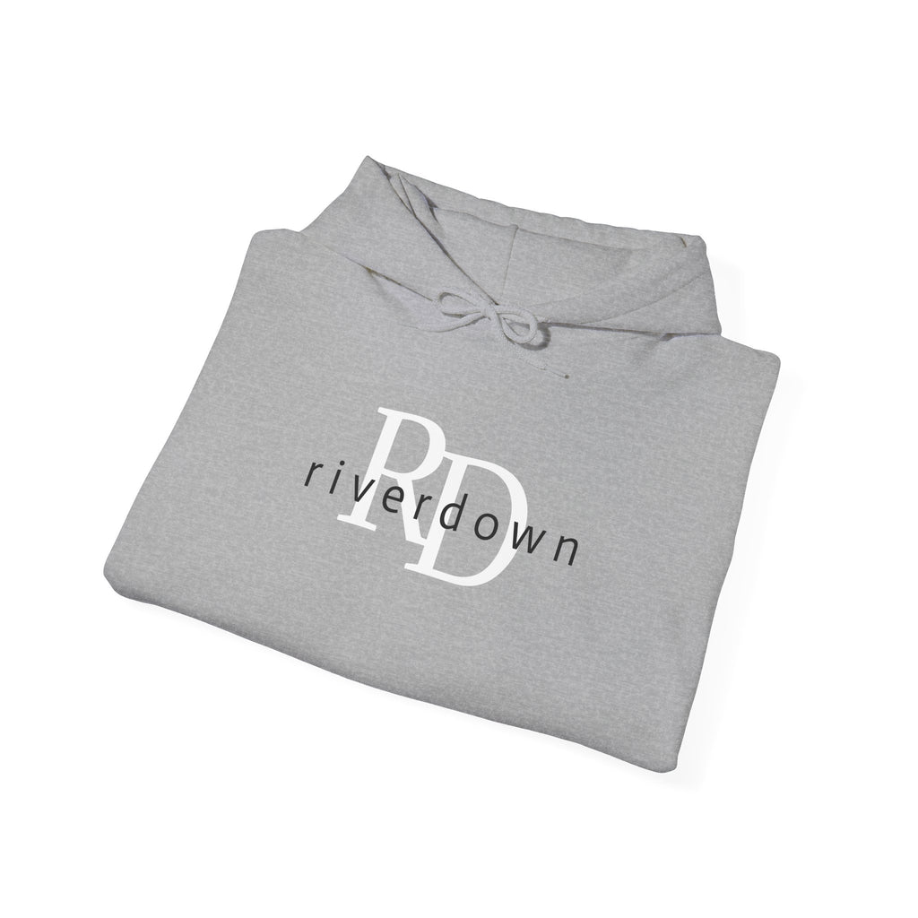 4 - Unisex Heavy RD Overlay Hooded Sweatshirt