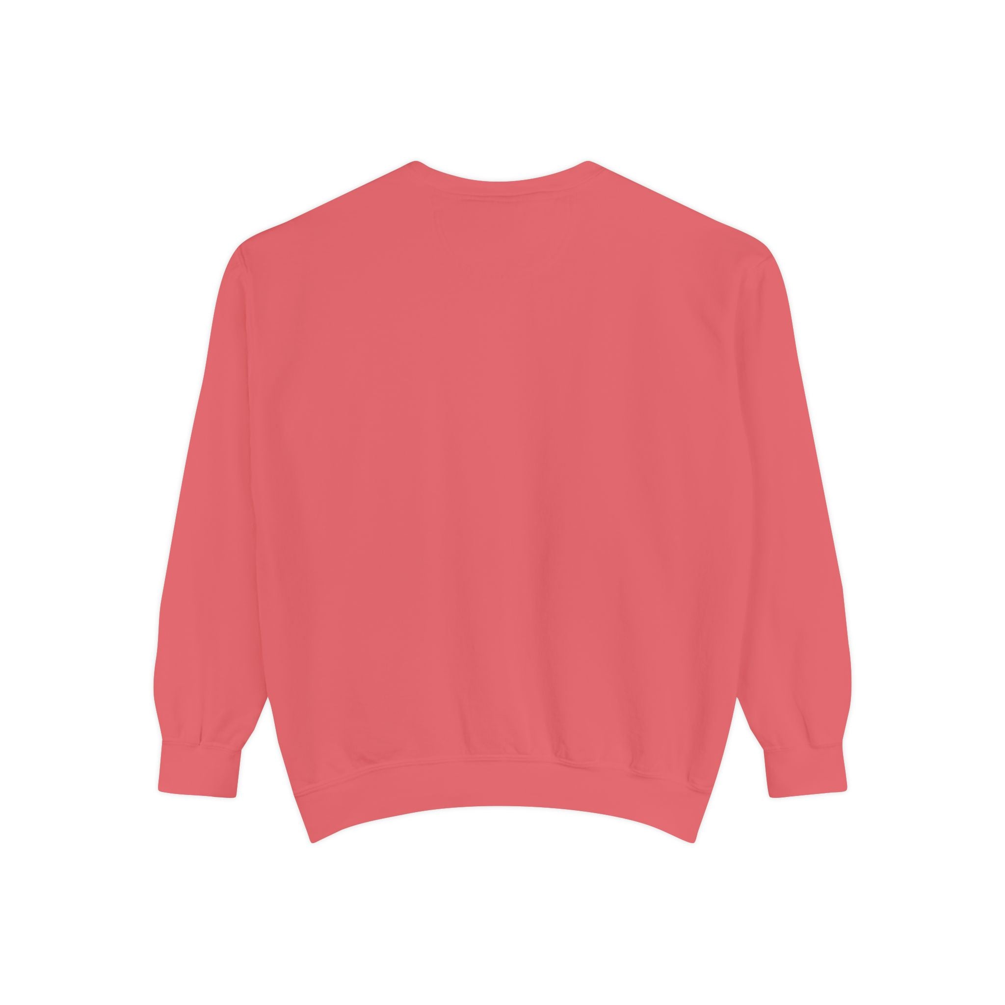 3 - Embroidered RD Sweatshirt – Minimal Vintage College Pullover