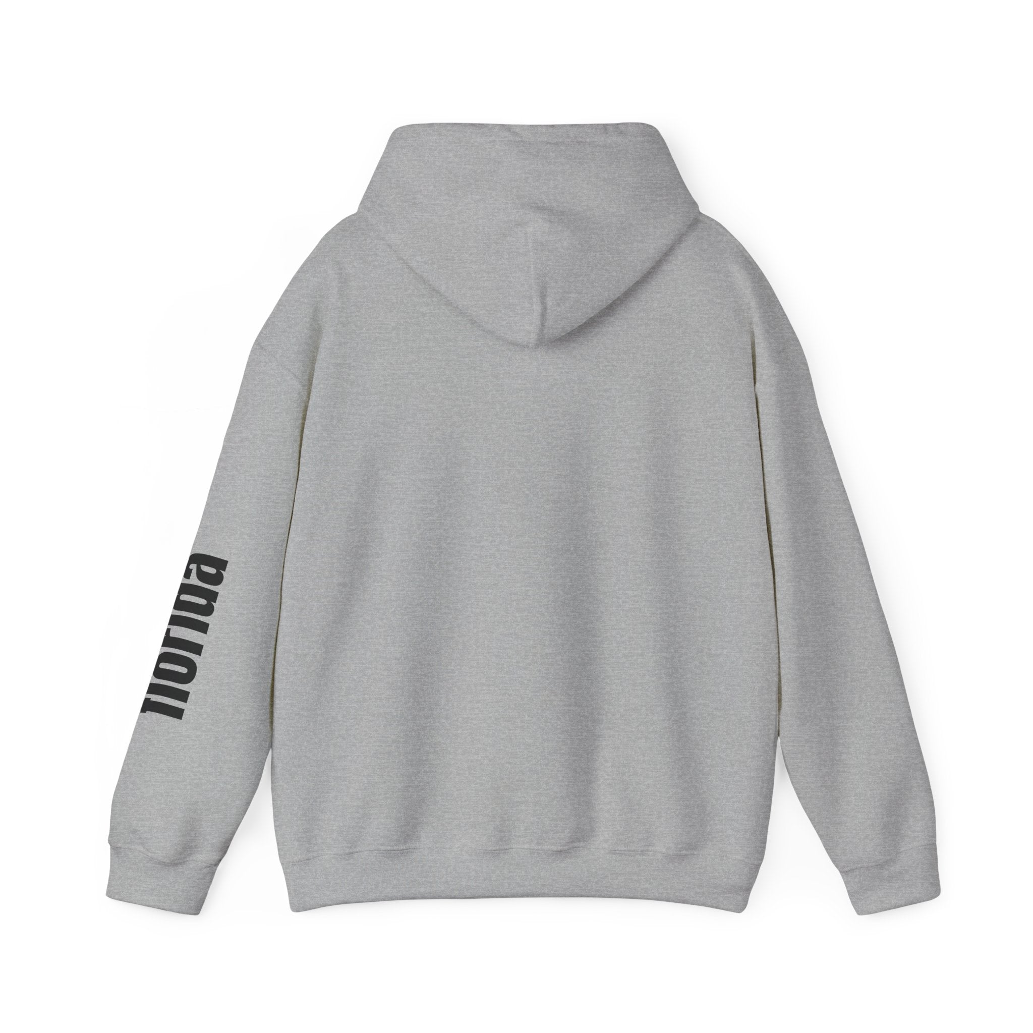 4 - Unisex Heavy RD Overlay Hooded Sweatshirt