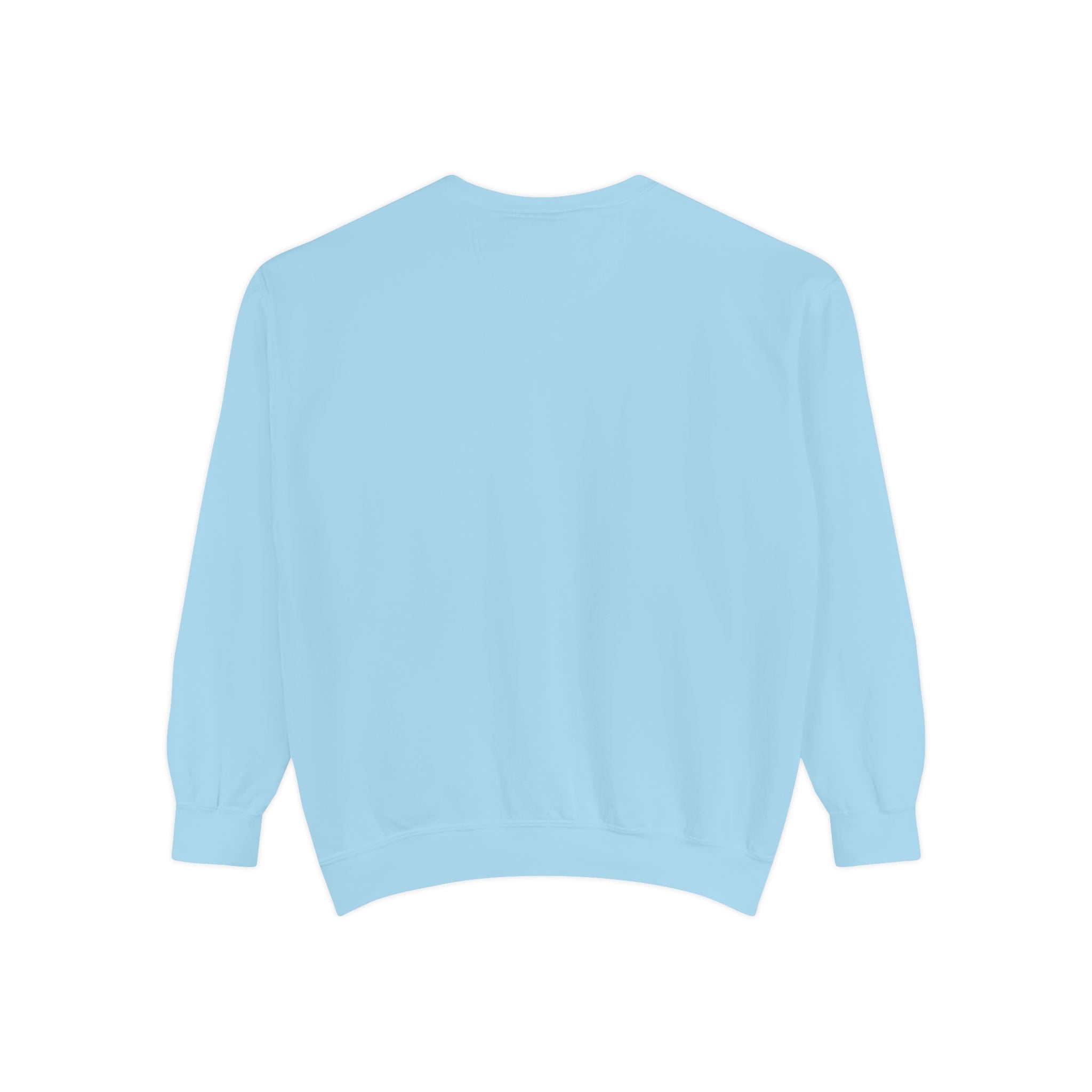 3 - 1903 Crest Embroidered Sweatshirt – Minimal Vintage College Pullover