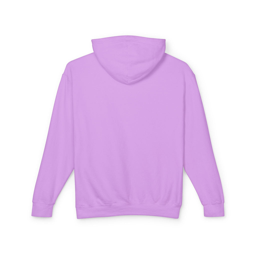 4 - Hoodie Multi Colors Collegiate Logo Hoodie — Lightweight Pastel Blue Sweatshirt