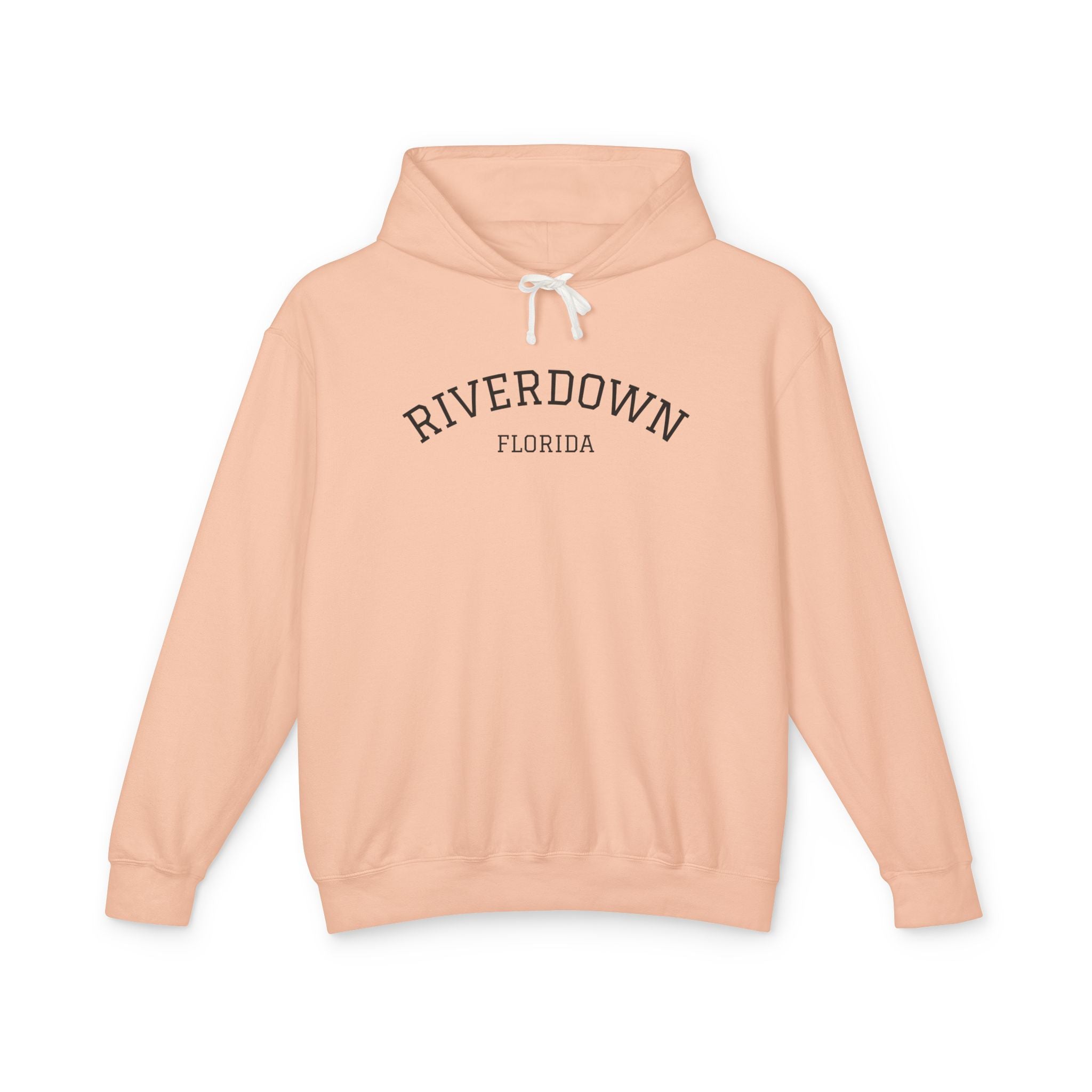 4 - Hoodie Multi Colors Collegiate Logo Hoodie — Lightweight Pastel Blue Sweatshirt