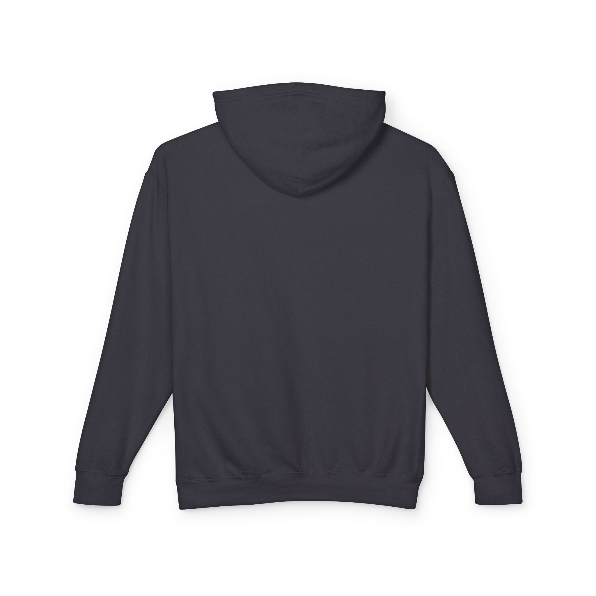 4 - Hoodie Multi Colors Collegiate Logo Hoodie — Lightweight Pastel Blue Sweatshirt