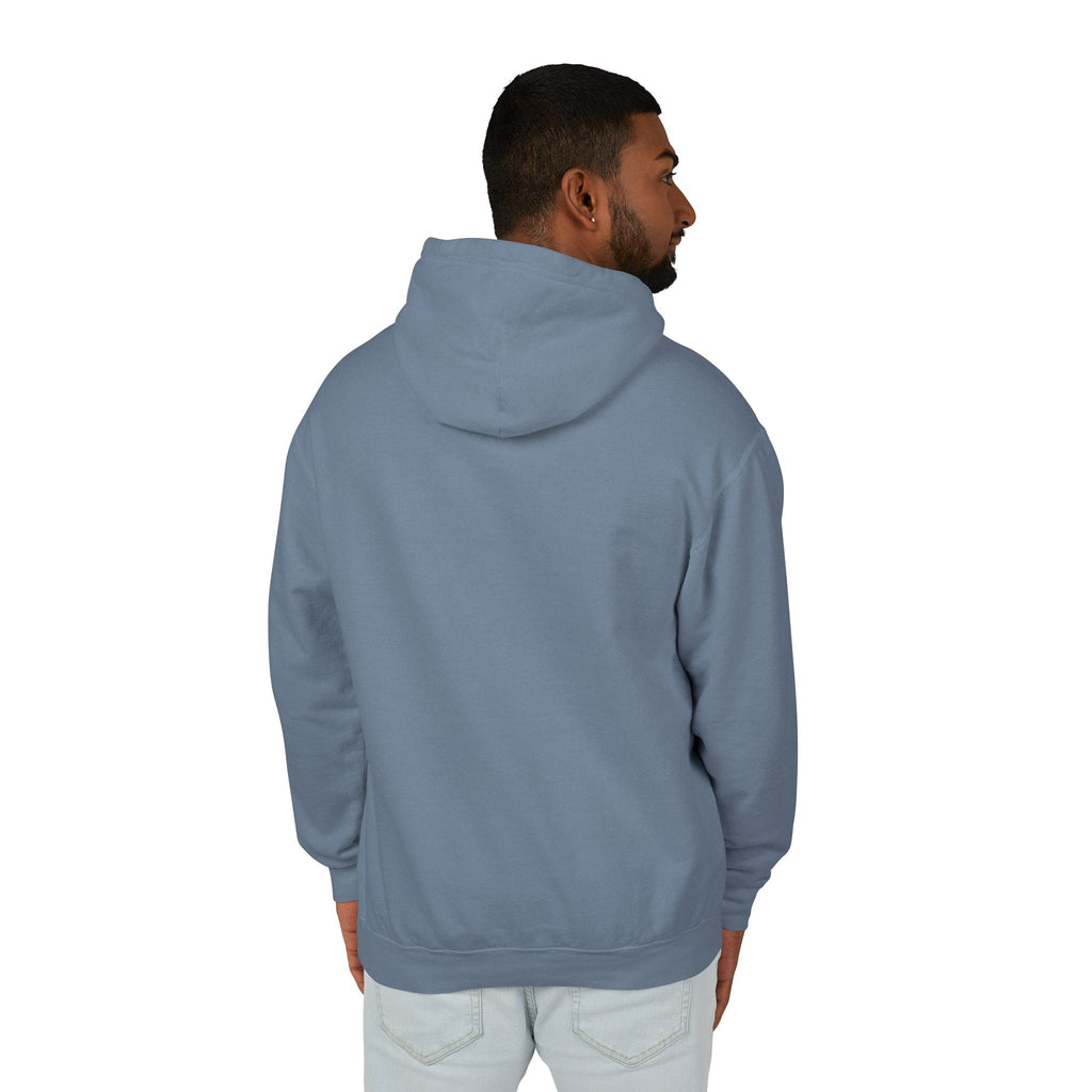 4 - Hoodie Multi Colors Coastal Logo Hoodie — Lightweight Pastel Blue Sweatshirt