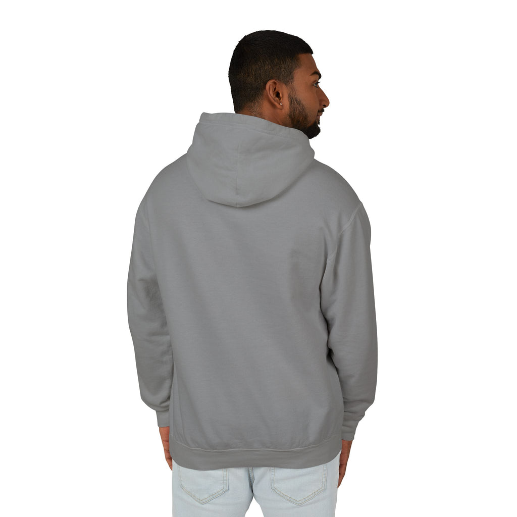 4 - Hoodie Multi Colors Collegiate Logo Hoodie — Lightweight Pastel Blue Sweatshirt