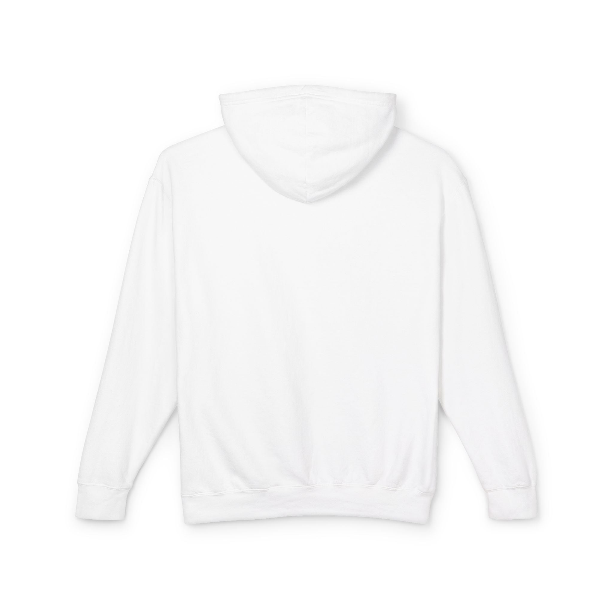 4 - Hoodie Multi Colors Collegiate Logo Hoodie — Lightweight Pastel Blue Sweatshirt