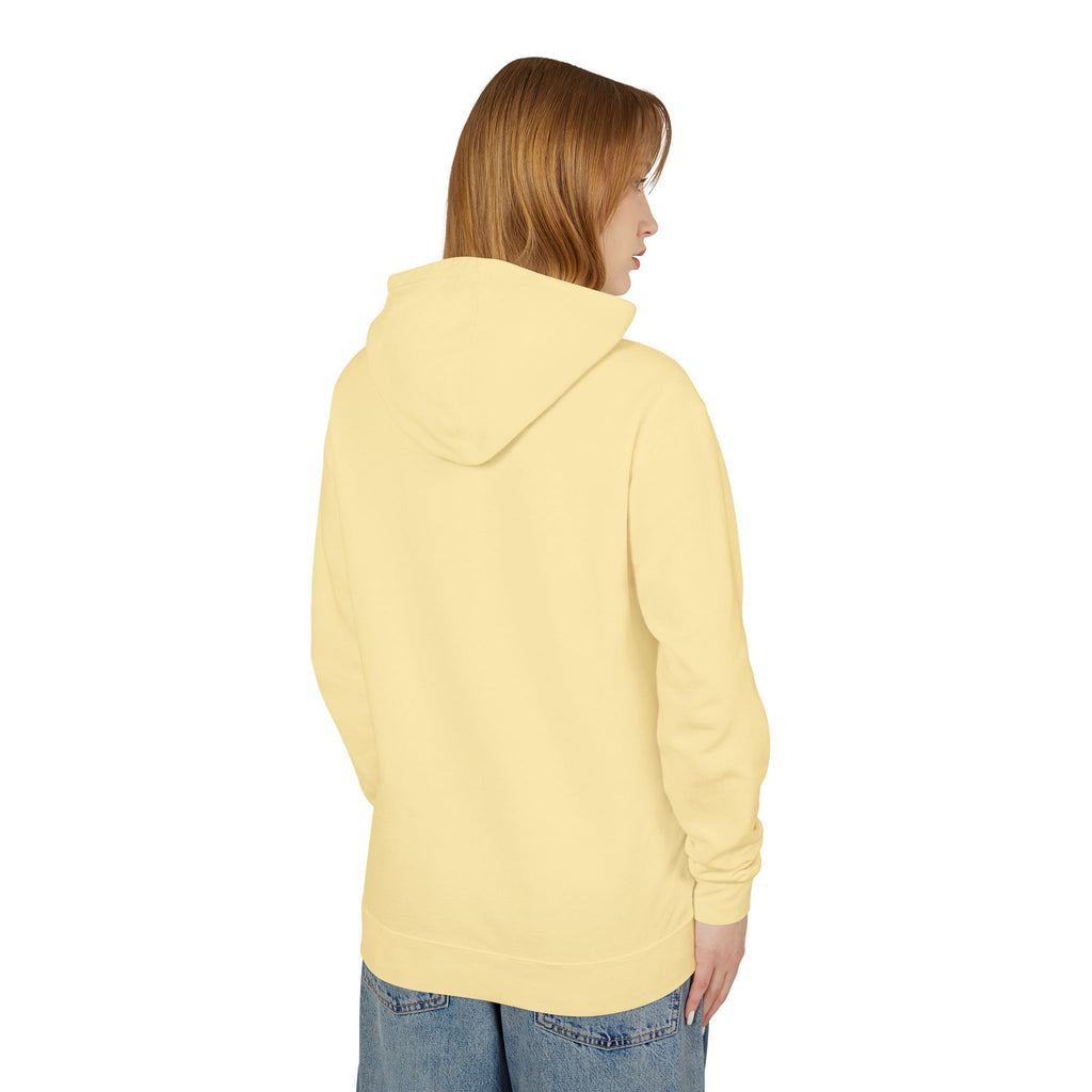 4 - Hoodie Multi Colors Collegiate Logo Hoodie — Lightweight Pastel Blue Sweatshirt