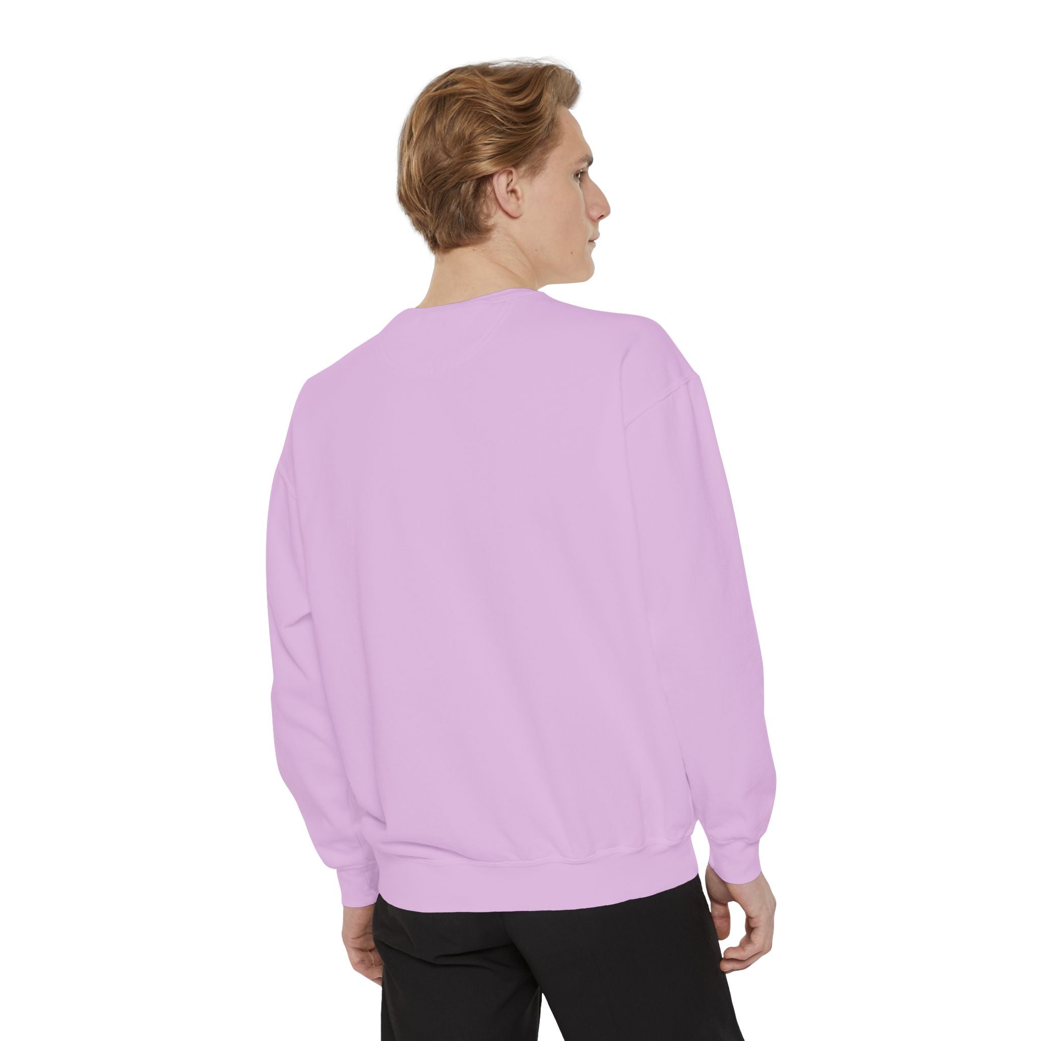 3 - 1903 Crest Embroidered Sweatshirt – Minimal Vintage College Pullover