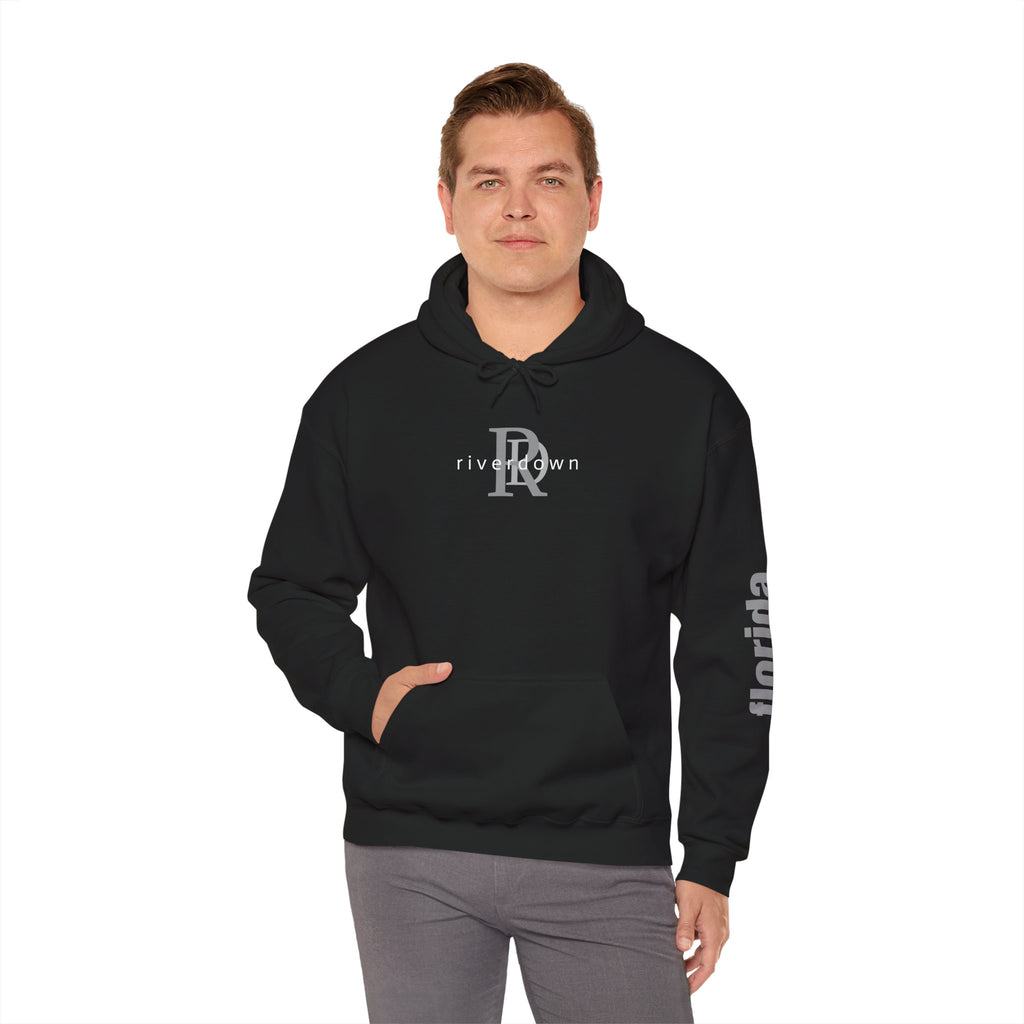 4 - Unisex Heavy RD Overlay Hooded Sweatshirt