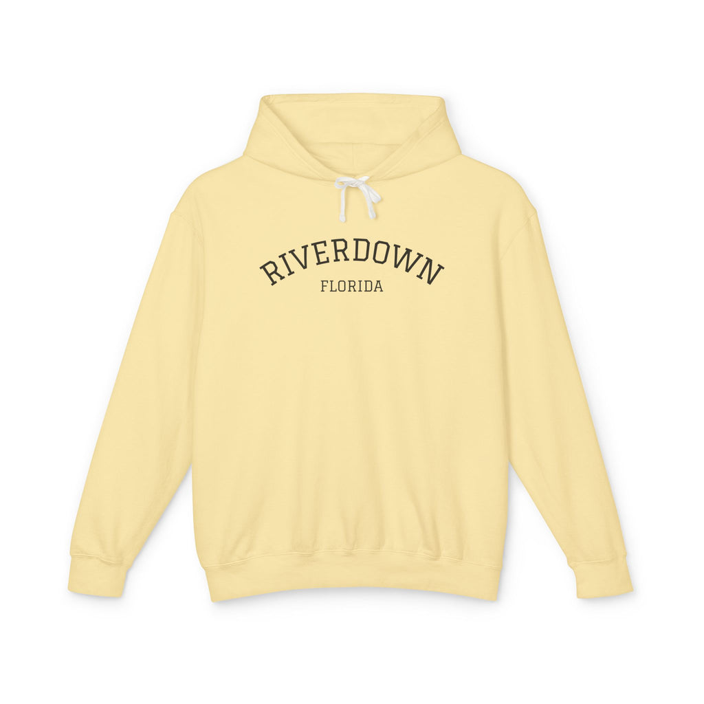 4 - Hoodie Multi Colors Collegiate Logo Hoodie — Lightweight Pastel Blue Sweatshirt