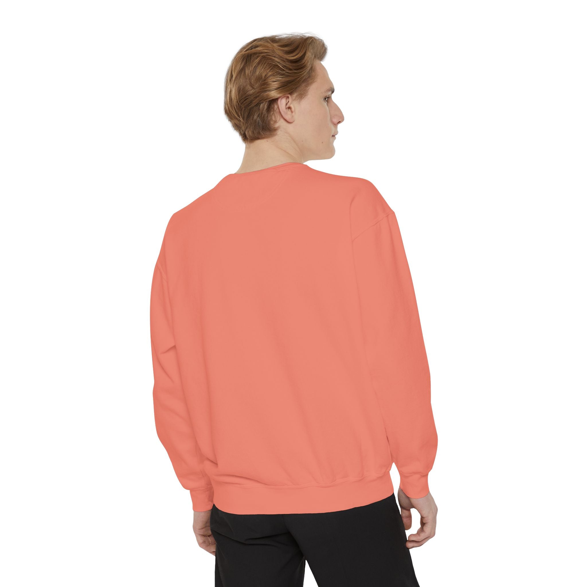 3 - 1903 Crest Embroidered Sweatshirt – Minimal Vintage College Pullover