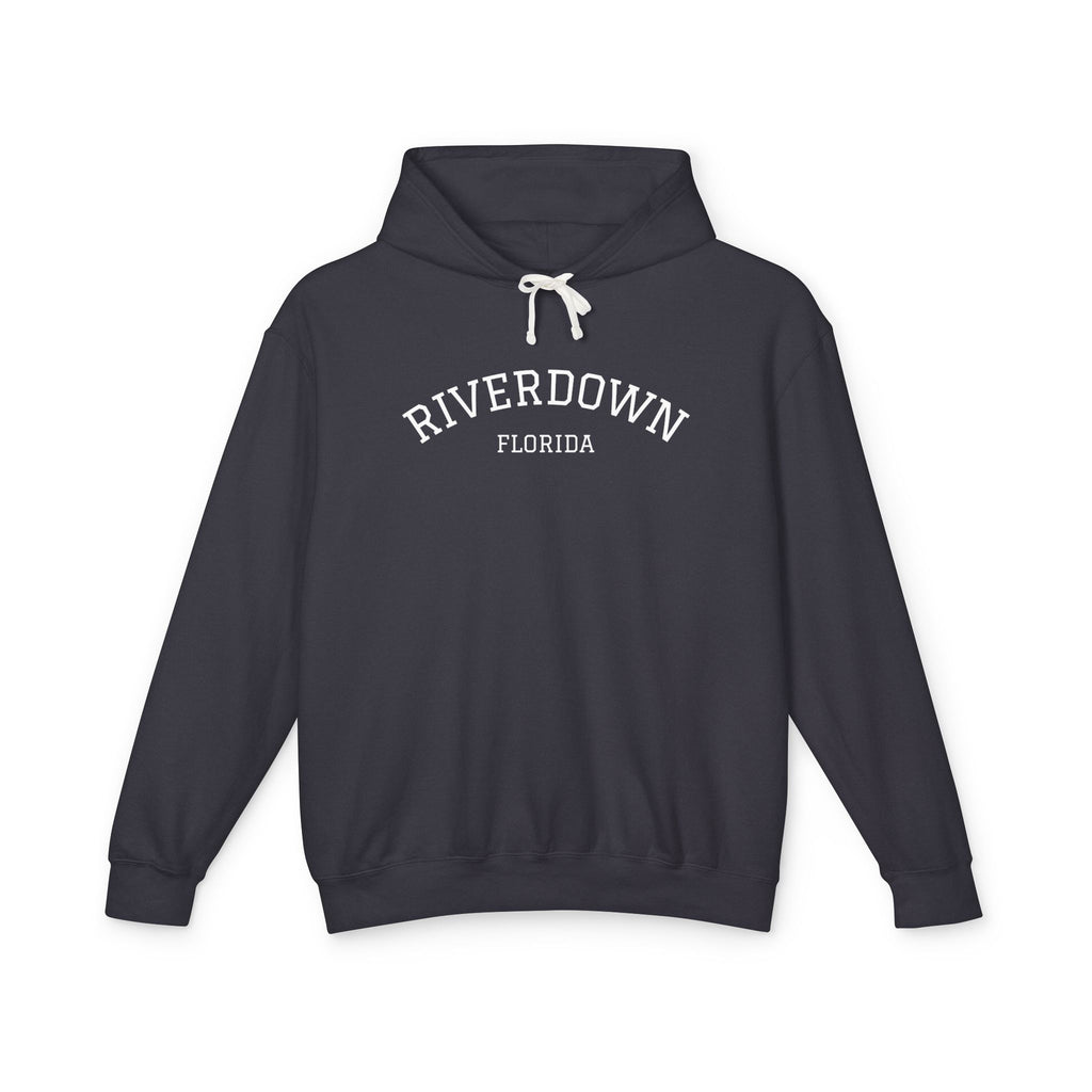 4 - Hoodie Multi Colors Collegiate Logo Hoodie — Lightweight Pastel Blue Sweatshirt