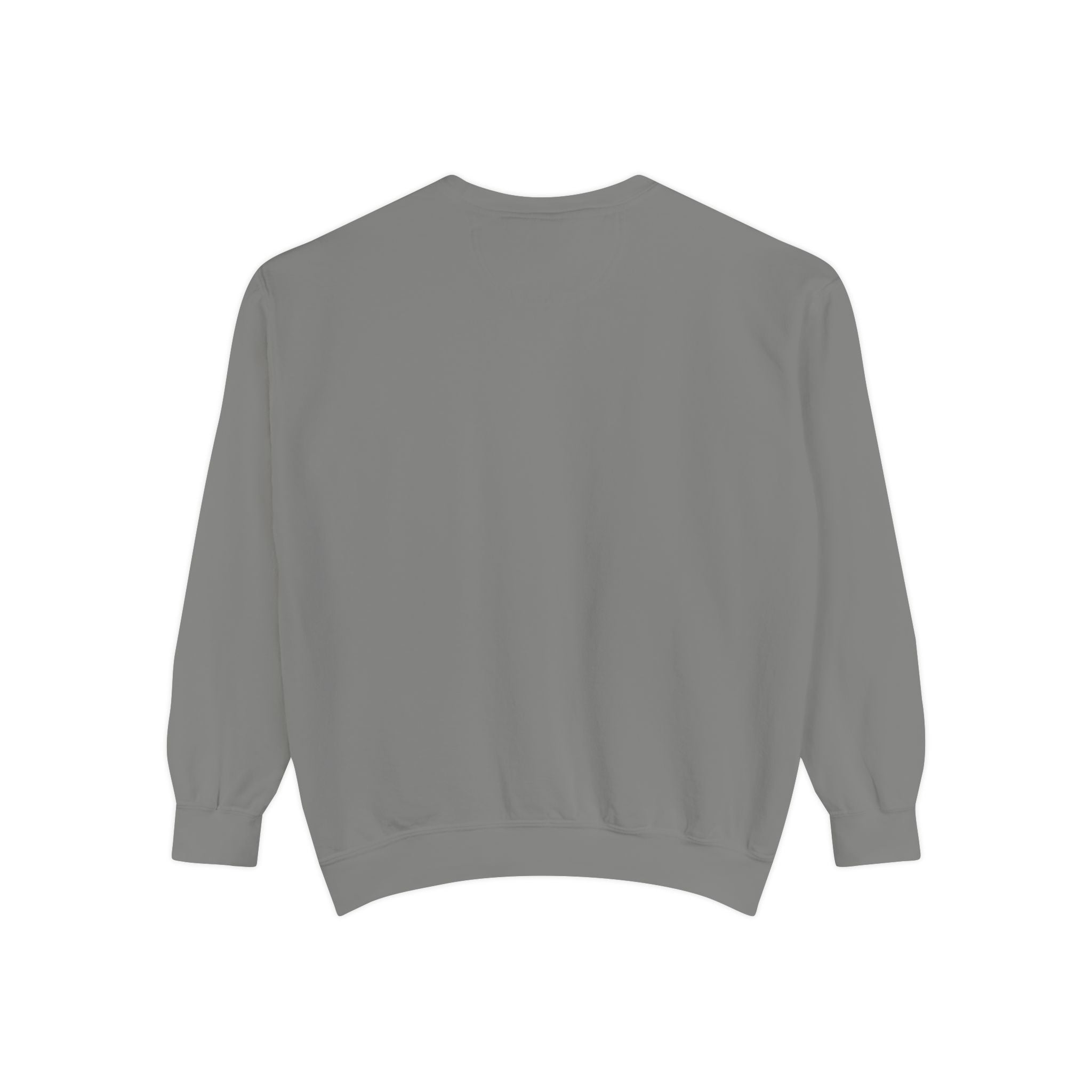 3 - 1903 Crest Embroidered Sweatshirt – Minimal Vintage College Pullover