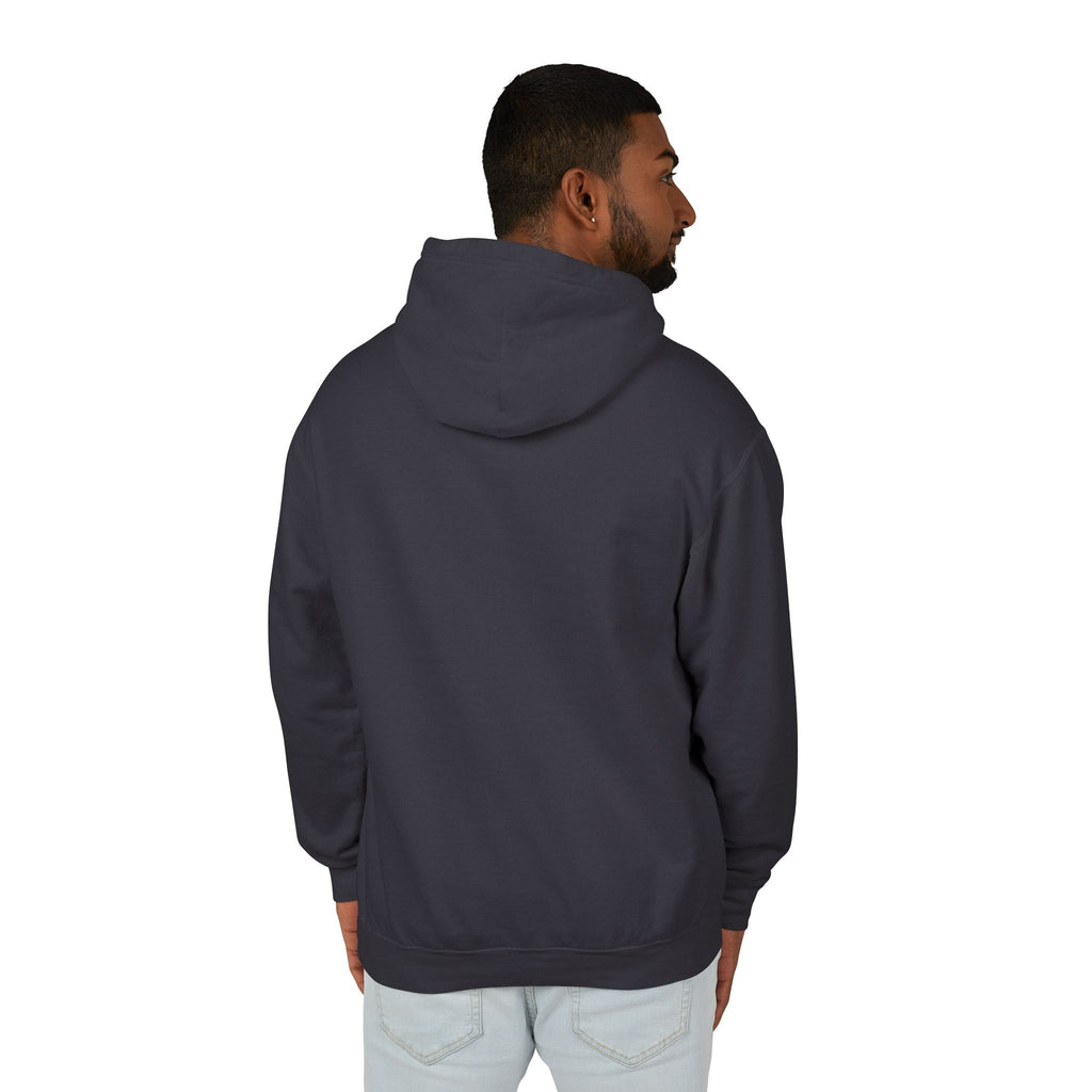 4 - Hoodie Multi Colors Collegiate Logo Hoodie — Lightweight Pastel Blue Sweatshirt