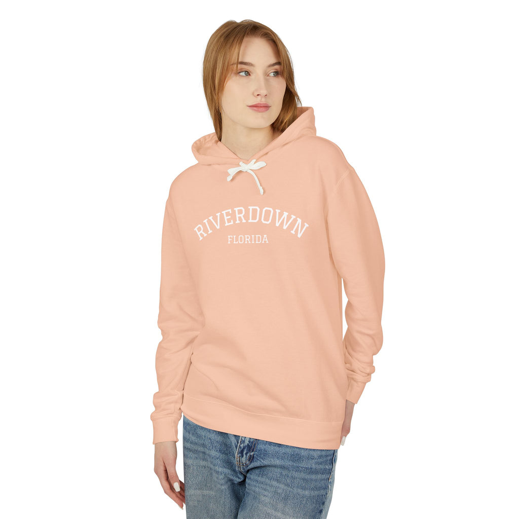 4 - Hoodie Multi Colors Collegiate Logo Hoodie — Lightweight Pastel Blue Sweatshirt