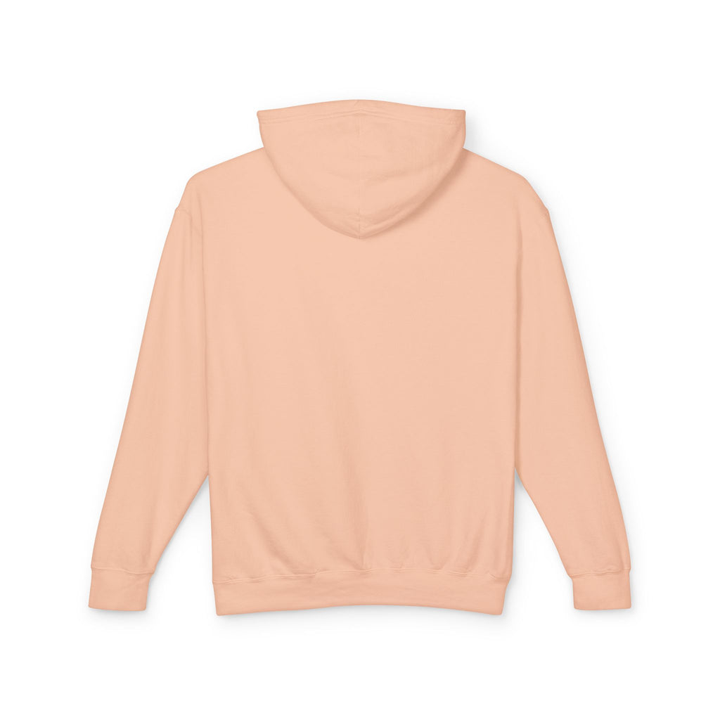 4 - Hoodie Multi Colors Collegiate Logo Hoodie — Lightweight Pastel Blue Sweatshirt