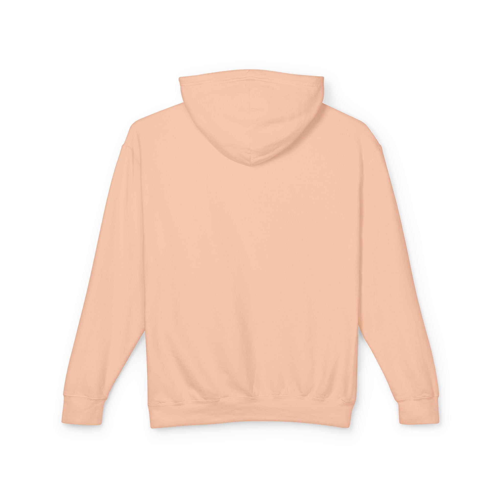 4 - Hoodie Multi Colors Collegiate Logo Hoodie — Lightweight Pastel Blue Sweatshirt