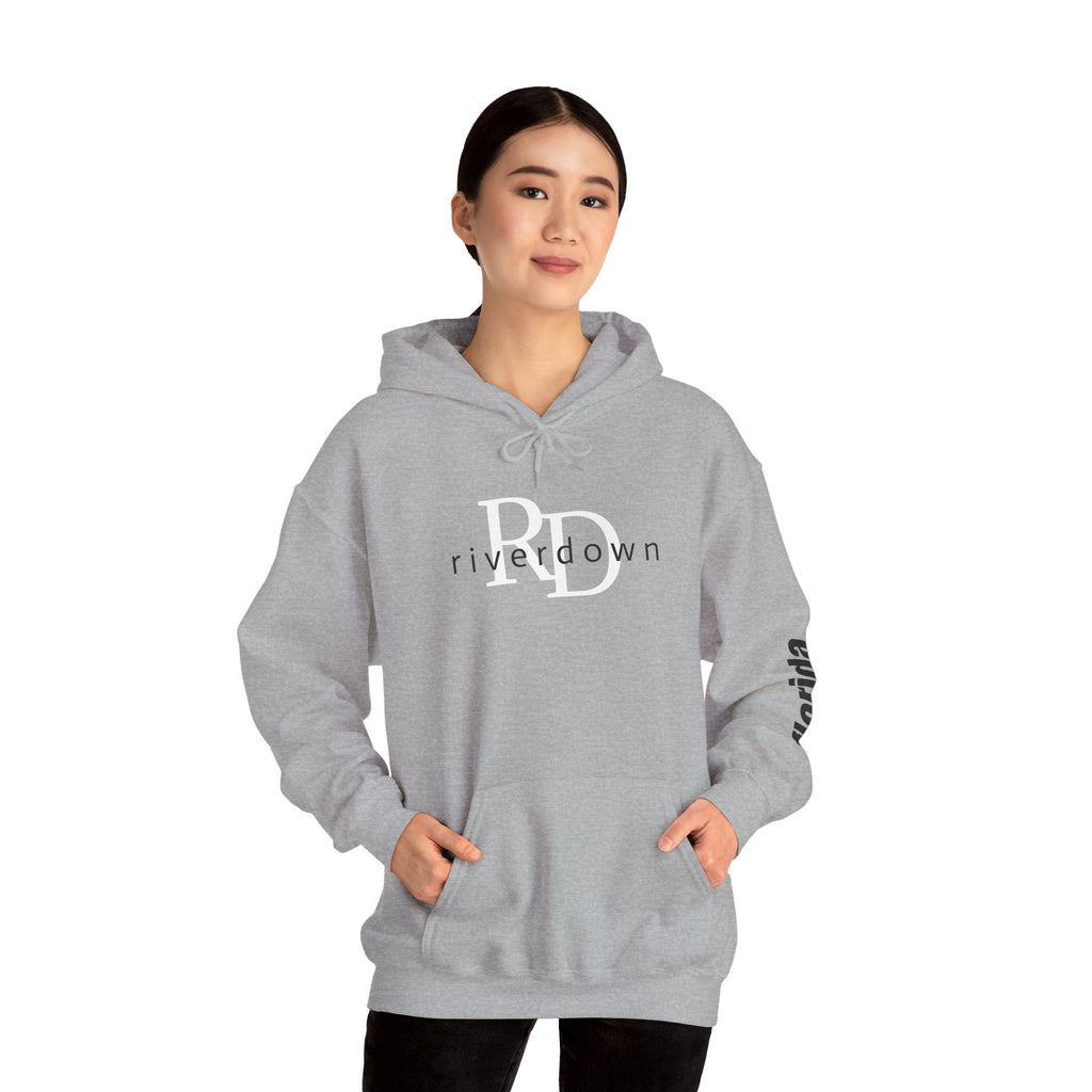 4 - Unisex Heavy RD Overlay Hooded Sweatshirt
