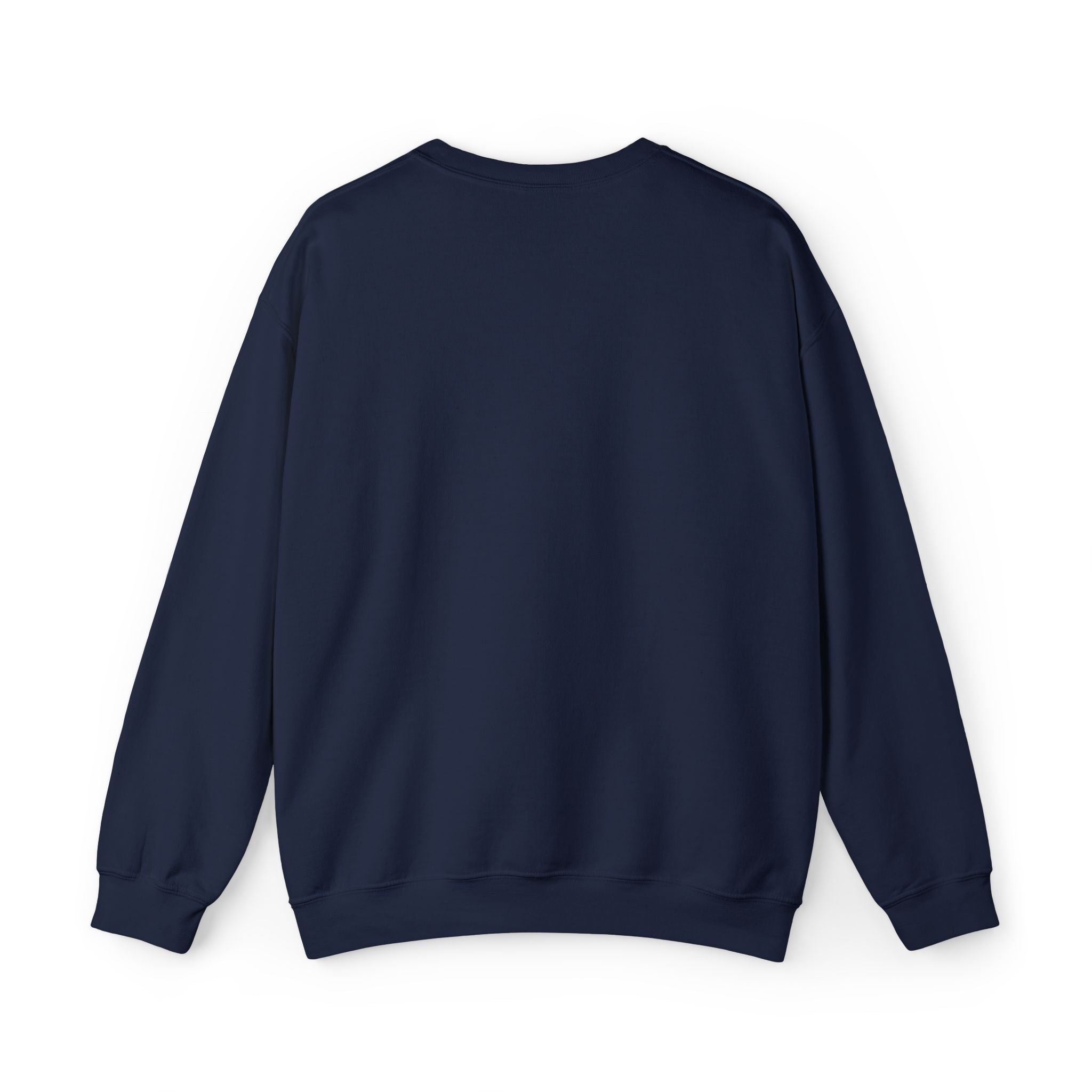 3 - Sweatshirt Embroidered Multi Colors Outfitters RD Logo Crewneck Sweatshirt