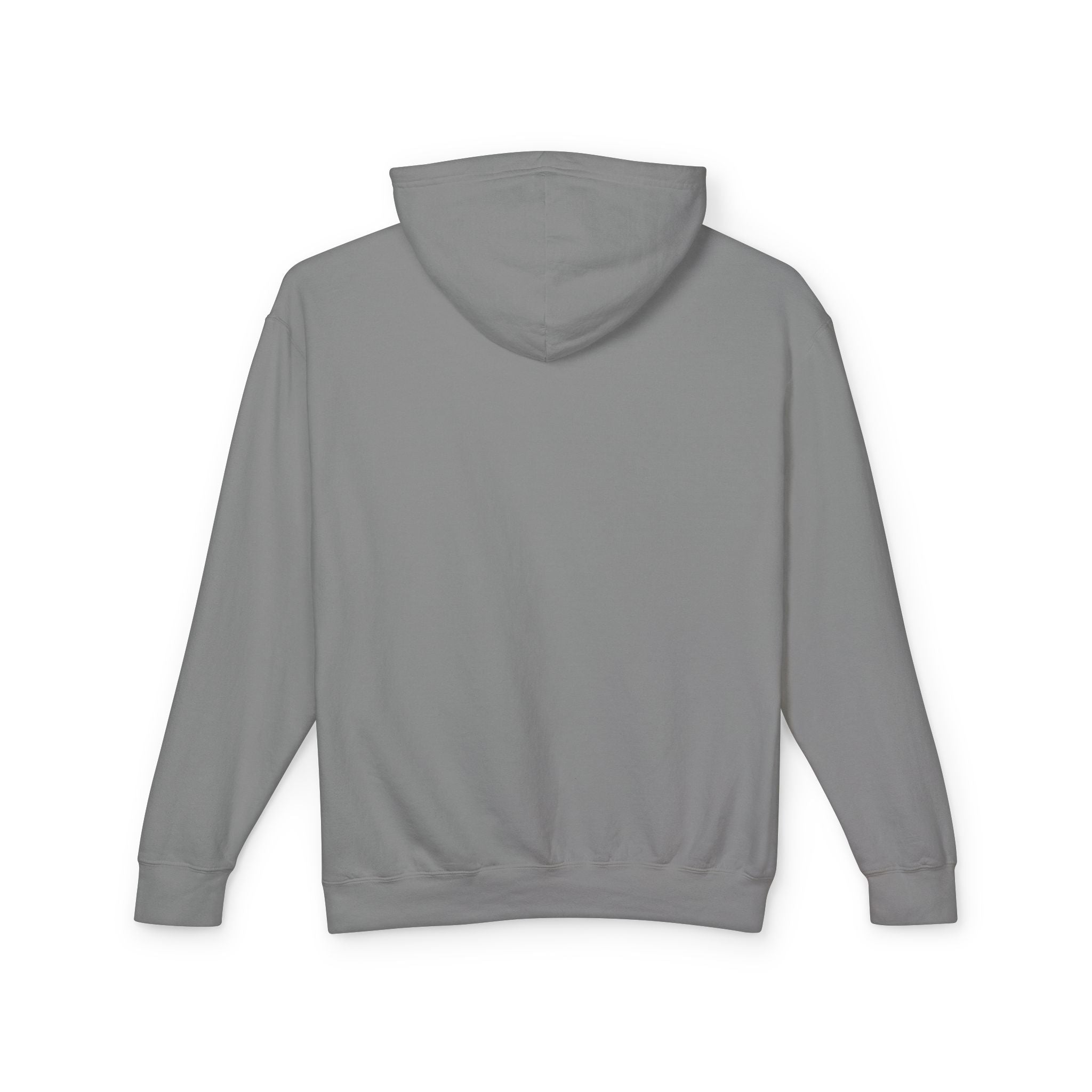 4 - Hoodie Multi Colors Collegiate Logo Hoodie — Lightweight Pastel Blue Sweatshirt