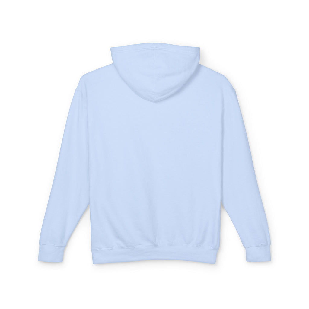4 - Hoodie Multi Colors Collegiate Logo Hoodie — Lightweight Pastel Blue Sweatshirt