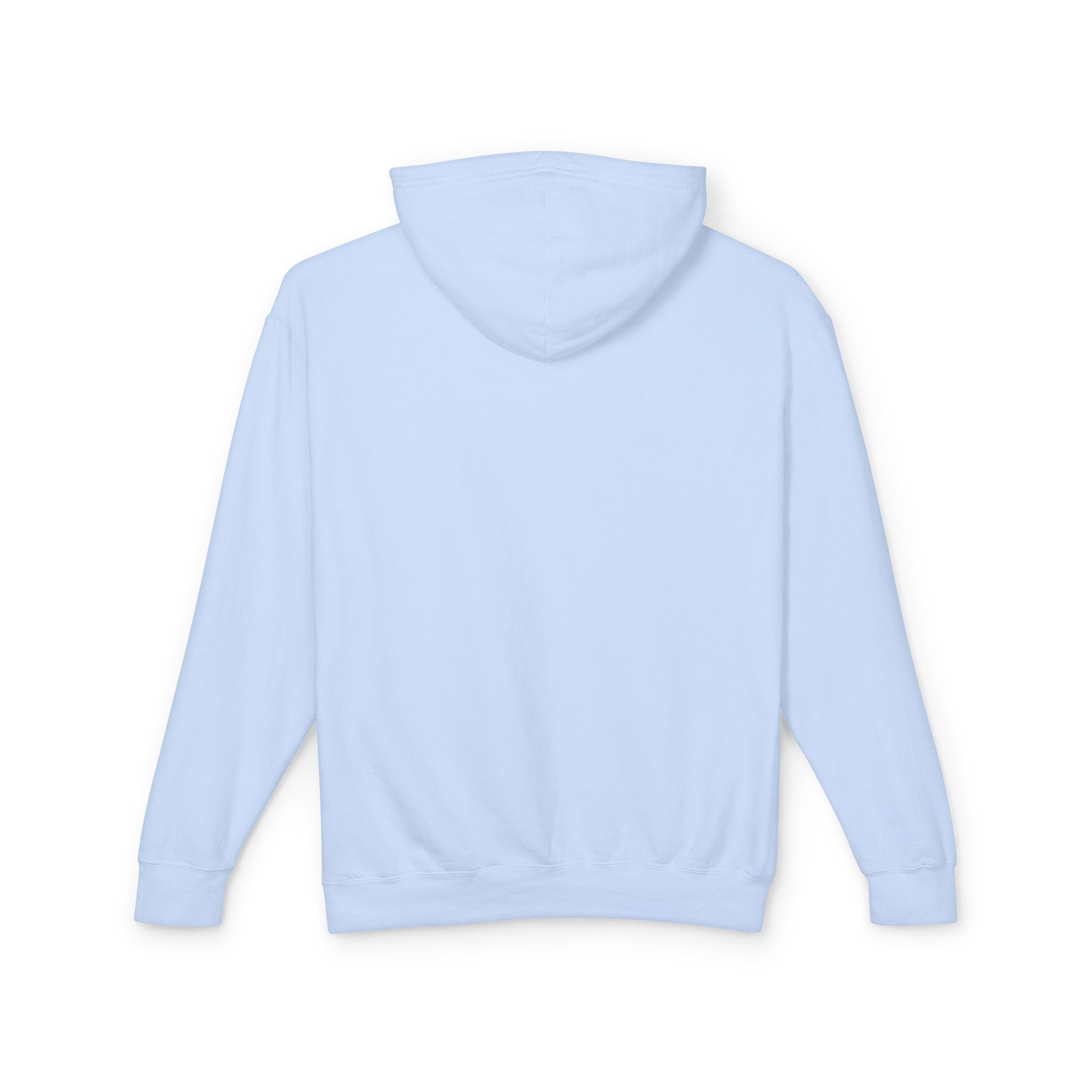 4 - Hoodie Multi Colors Collegiate Logo Hoodie — Lightweight Pastel Blue Sweatshirt
