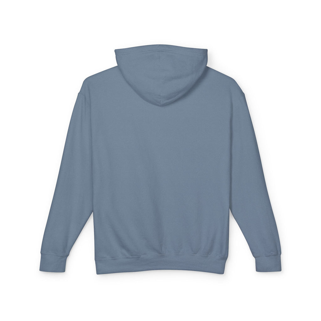4 - Hoodie Multi Colors Coastal Logo Hoodie — Lightweight Pastel Blue Sweatshirt