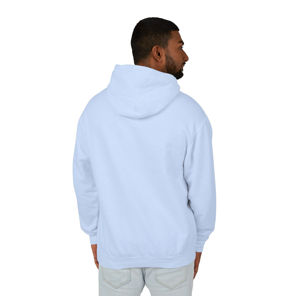 4 - Hoodie Multi Colors Coastal Logo Hoodie — Lightweight Pastel Blue Sweatshirt