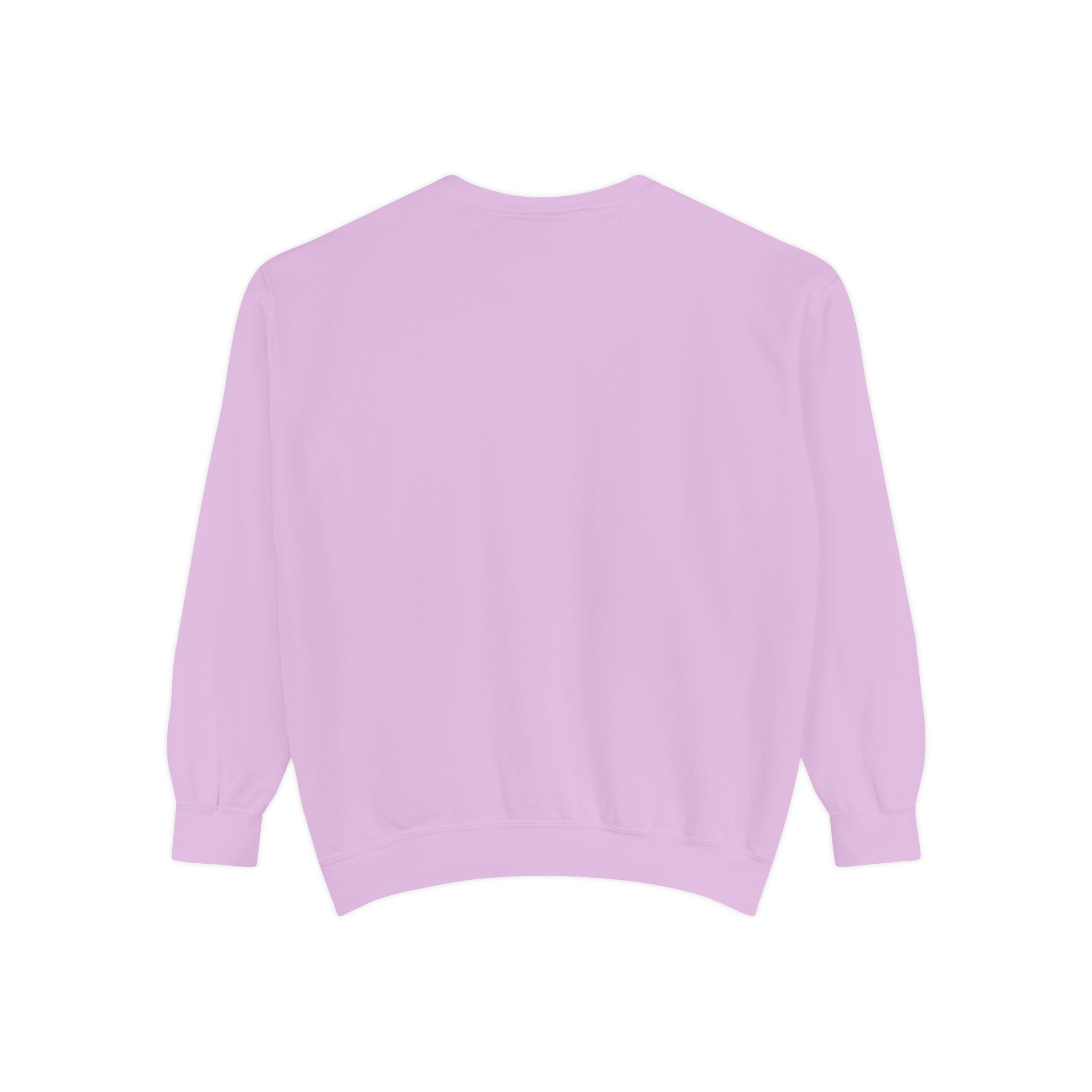 3 - 1903 Crest Embroidered Sweatshirt – Minimal Vintage College Pullover