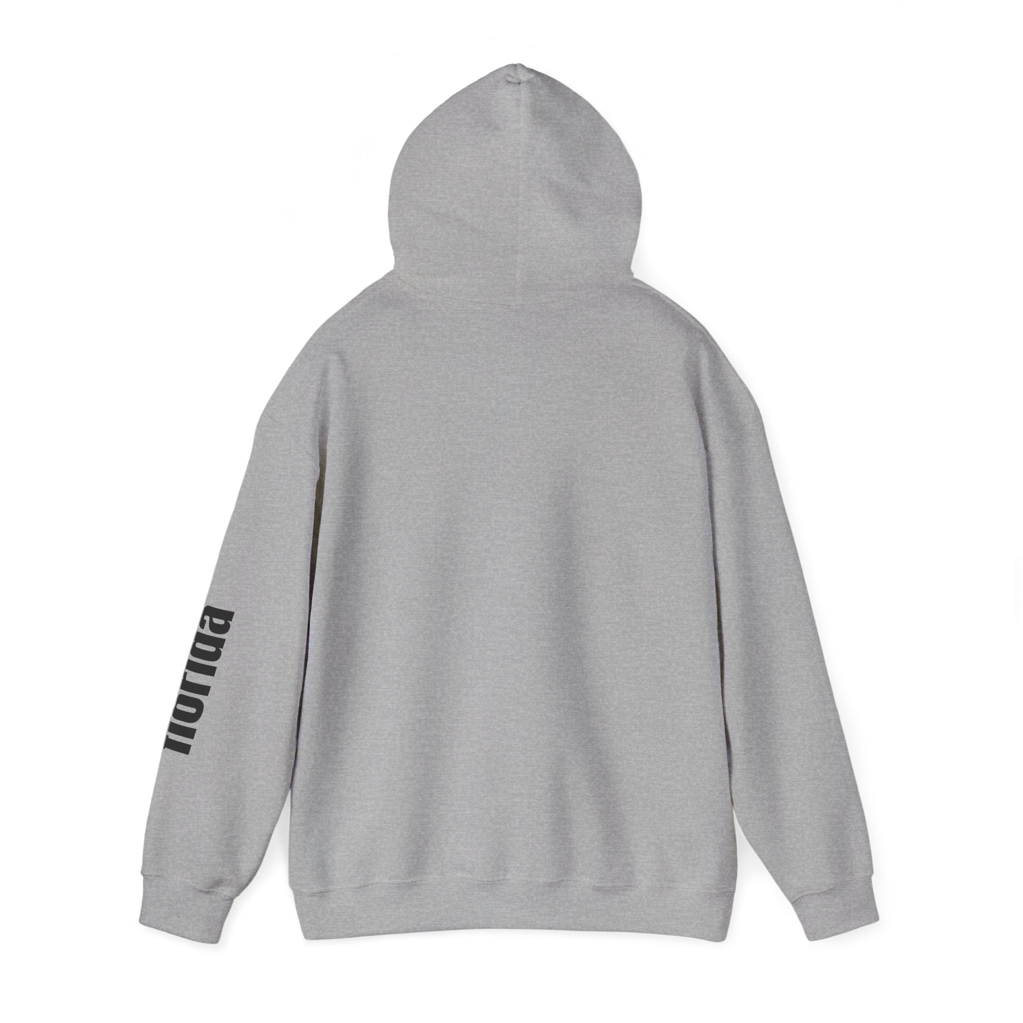 4 - Unisex Heavy RD Overlay Hooded Sweatshirt