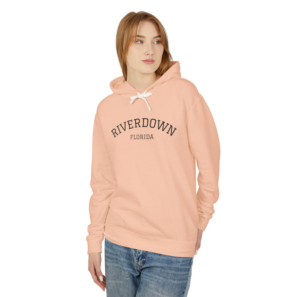 4 - Hoodie Multi Colors Collegiate Logo Hoodie — Lightweight Pastel Blue Sweatshirt