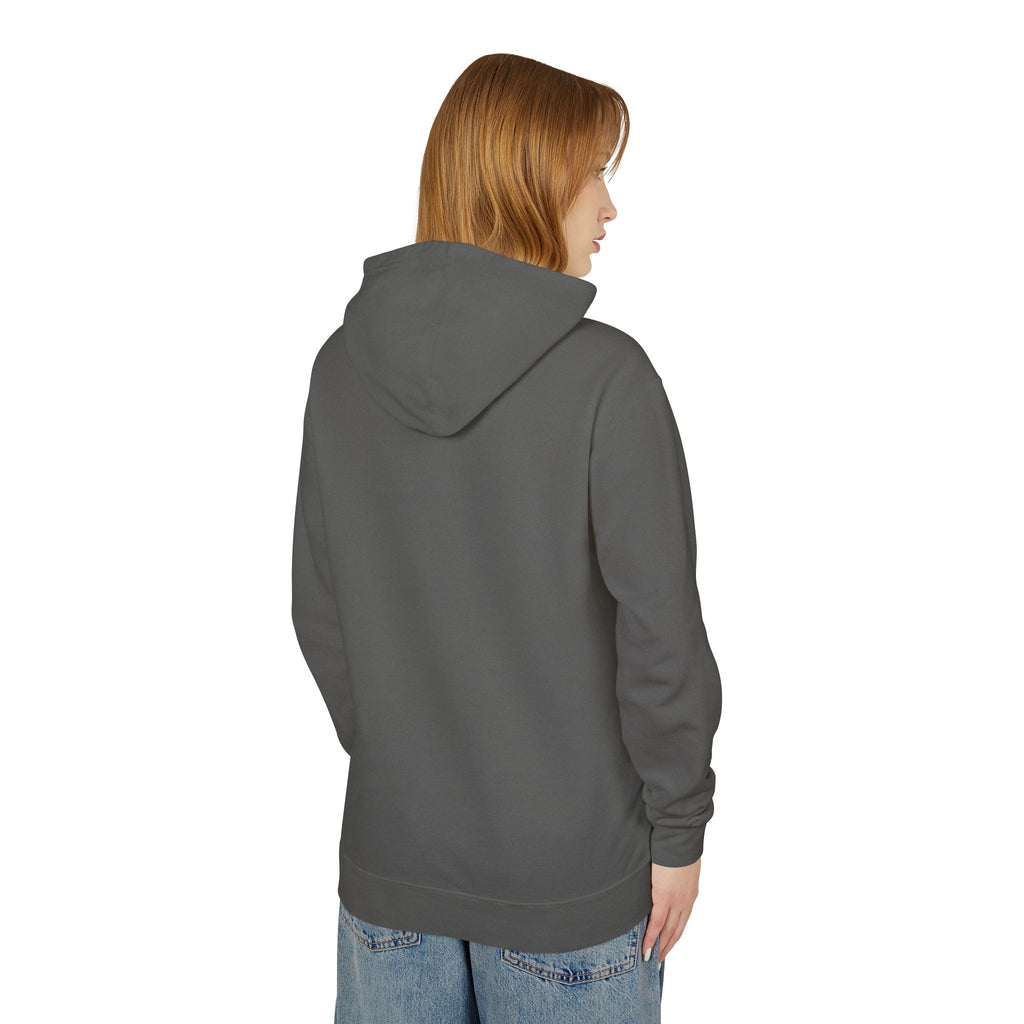 4 - Hoodie Multi Colors Collegiate Logo Hoodie — Lightweight Pastel Blue Sweatshirt