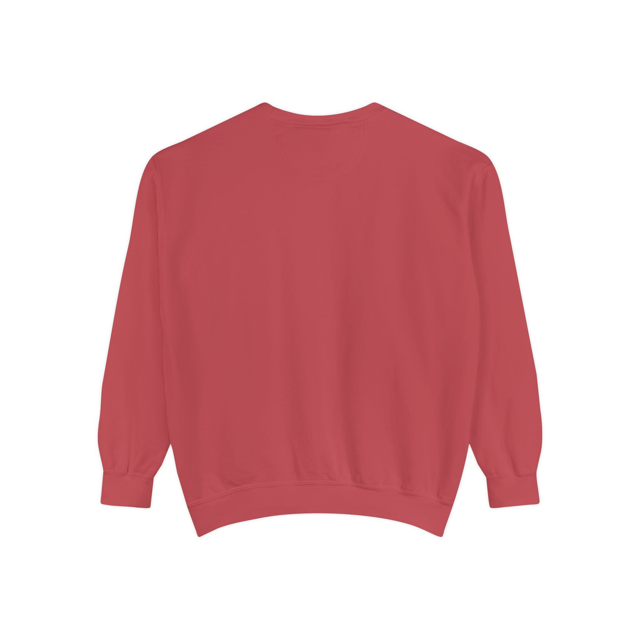 3 - 1903 Crest Embroidered Sweatshirt – Minimal Vintage College Pullover