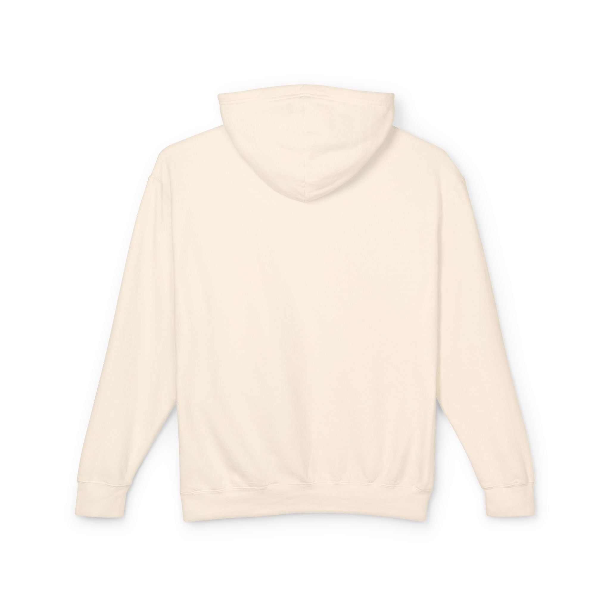 4 - Hoodie Multi Colors Collegiate Logo Hoodie — Lightweight Pastel Blue Sweatshirt